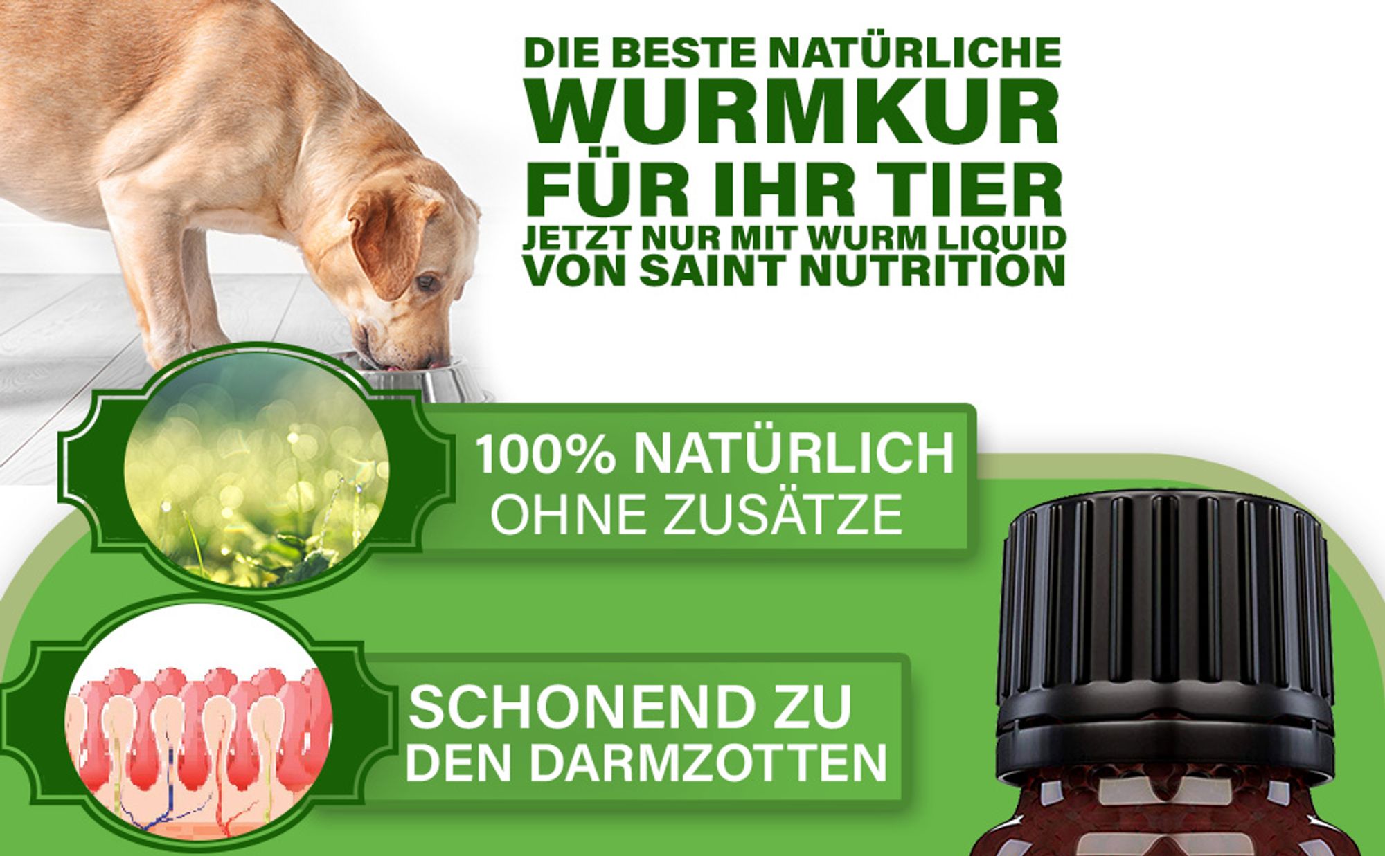 Saint Nutrition® Wurm Kügelchen - Wurmmittel Hund - entwurmen für Hunde - mit natürlichen Inhaltsstoffen - Wurmkur - für Hunde und Katzen