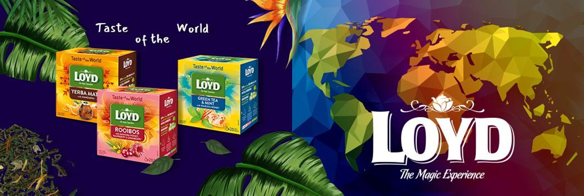 Loyd Zielona Herbata z Matcha o Smaku Ananasa i Kokosa w Torebkach Taste of The World