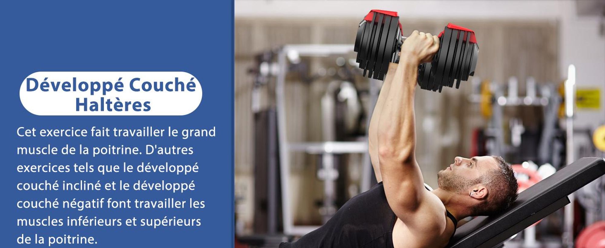DH FitLife Haltères Réglables 3 à 24 KG, Ensemble 12 en 1 pour Musculation, Poids Variables et Compacts, 1 pièce