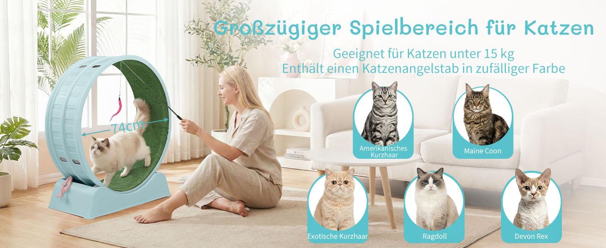 FCH Katzenlaufrad, Laufband für Katzen, Innendurchmesser 80cm, PP-Kunststoff, leise Laufband und Sicherheitsschloss-Design, Blau