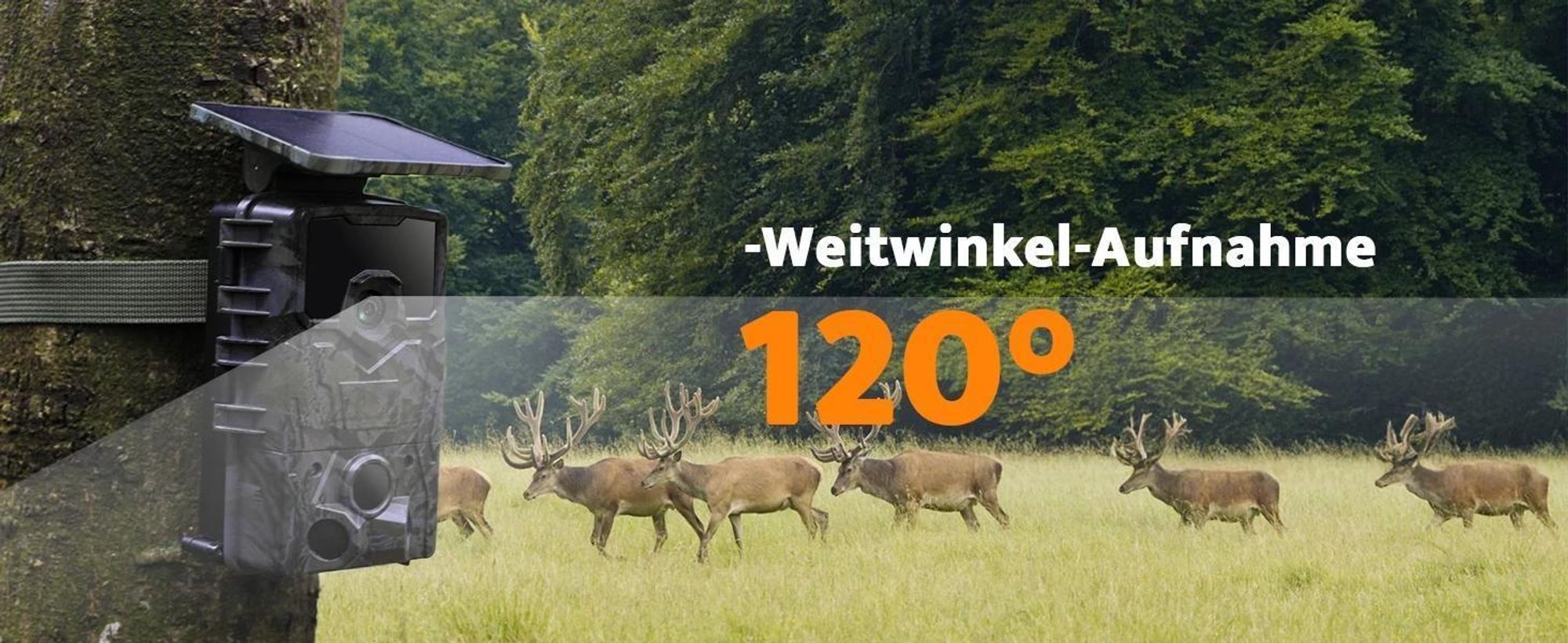 4K Wildkamera Solar 48MP Wildkamera mit Bewegungsmelder Nachtsicht 120° Winkel 2 Zoll Bildschirm Erfassungs 0,3s Auslösezeit 32GB TF-Karte Wasserdicht