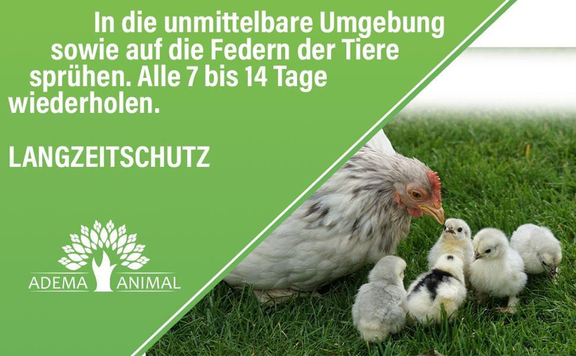 Adema Natural® | Milbexin | Spray gegen Milben - Milbenspray für Hühner