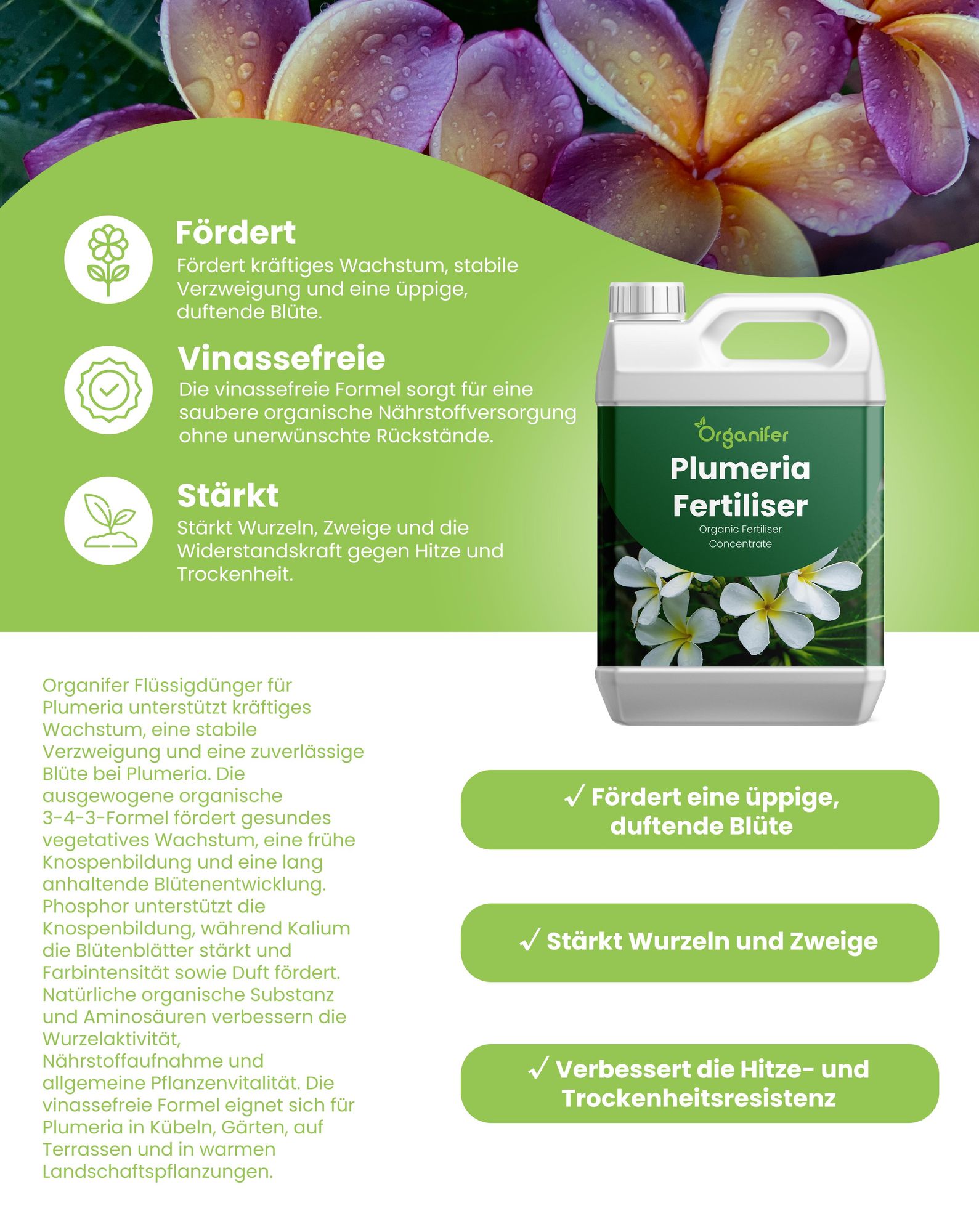 Frangipani Flüssigdünger 2x1L – 3-4-3 NPK - Flüssig-Pflanzendünger für Plumeria – Fördert kontinuierliche Blüte & vitales Wachstum – Organifer