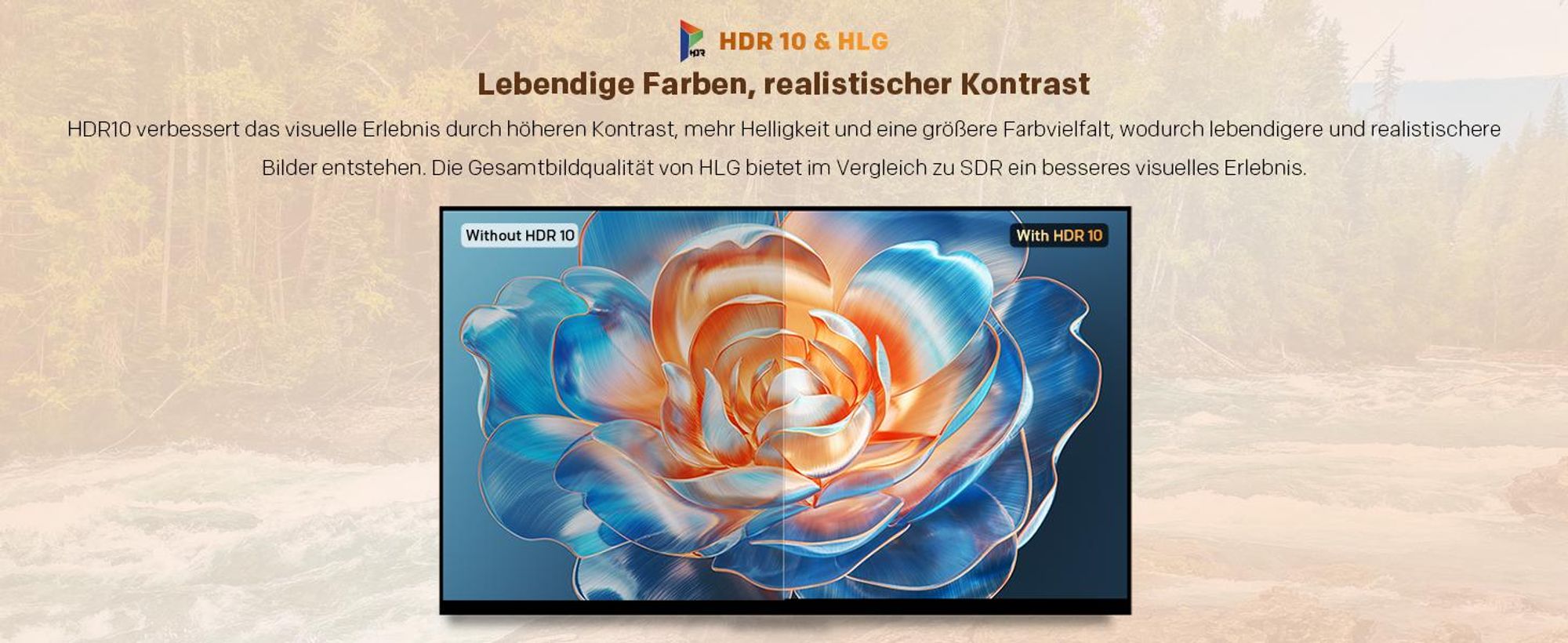 coocaa 32 Zoll QLED HD Smart TV (Google TV, HDR10, Triple Tuner DVB-T2/C/S2, Netflix, Prime Video, YouTube, VESA 20x10) WM-Fernseher