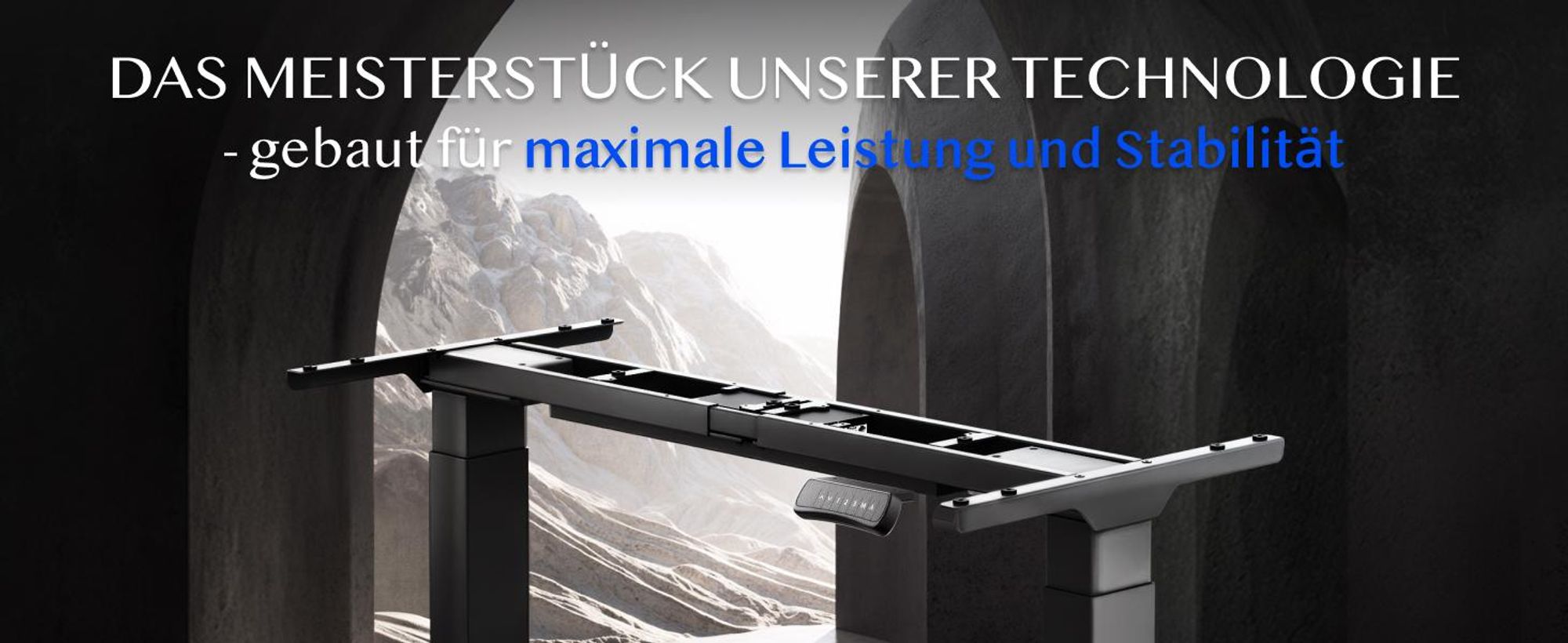 FLEXISPOT ValtreX E300 Elektrisch Höhenverstellbarer Schreibtisch 300KG Tragkraft Dualmotor, Sitz-Erinnerung&Memory-Funktion, Kollisionsschutz Schwarz