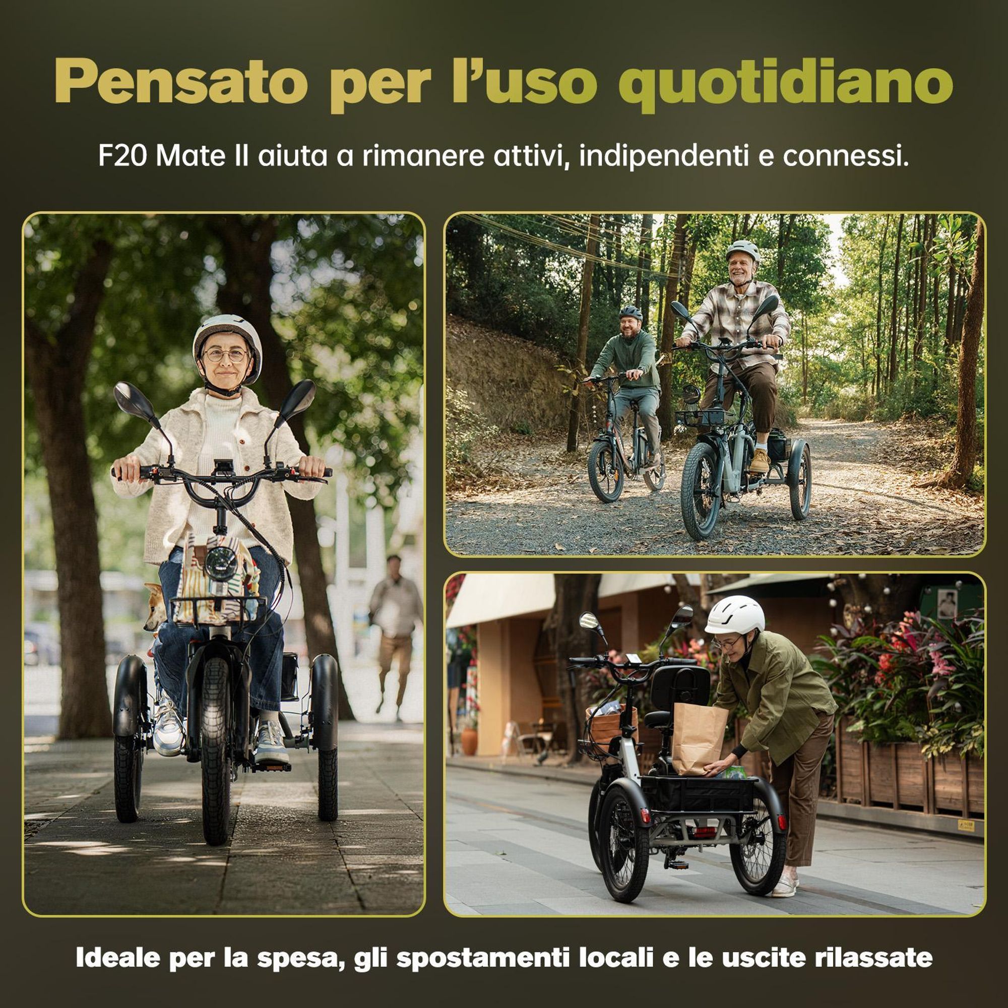 Bicicletta elettrica FAFREES F20 Mate II - Motore 250W Batteria 48V25AH 20" Pneumatici Freno a disco idraulico - Gunfire Nero