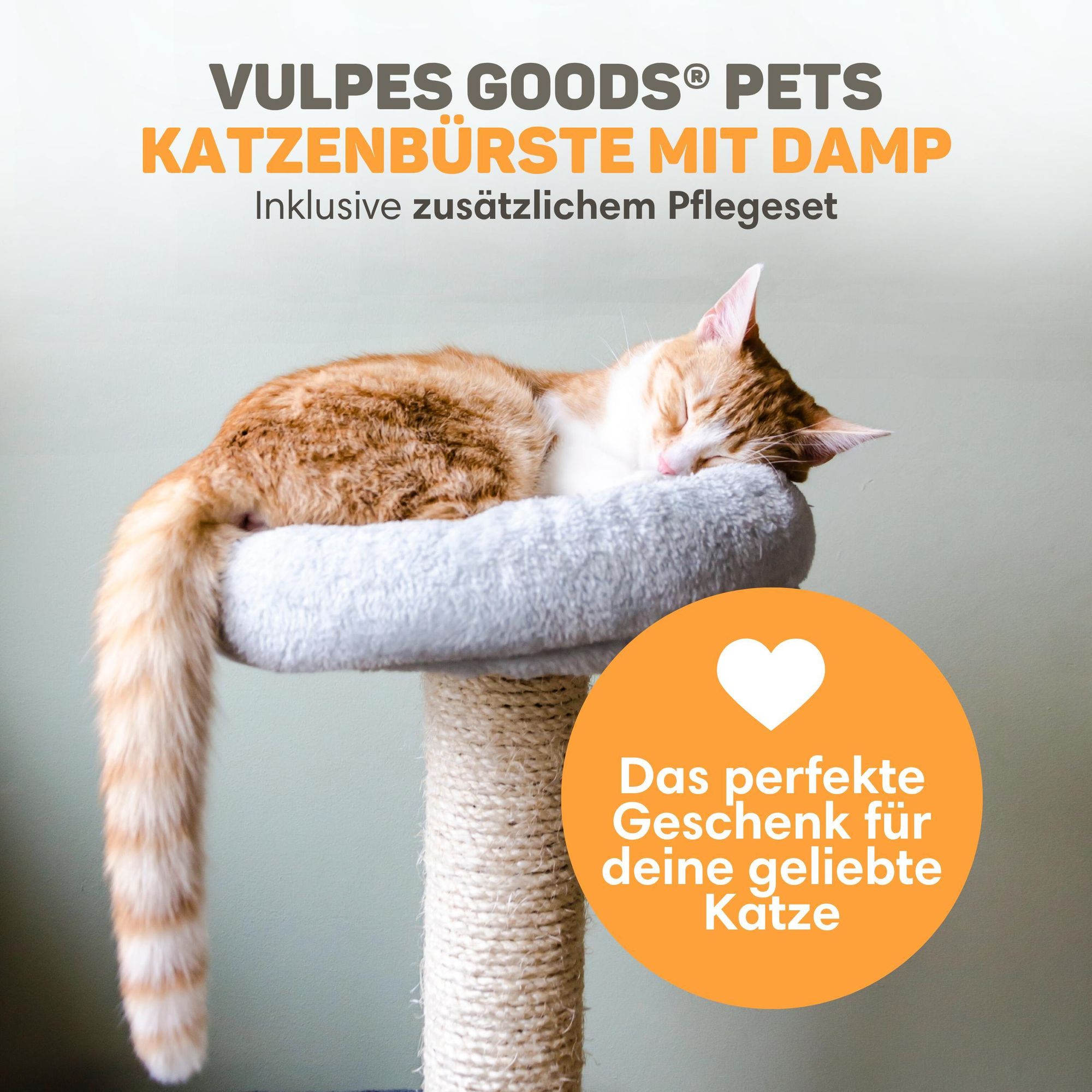 Vulpes Goods Katzen Dampfbürste, Selbstreinigende Katzen-Stoombürste, Haarentferner, Kurz- und Langhaarkatze Dampfgerät, Inkl. 2 extra Kämme
