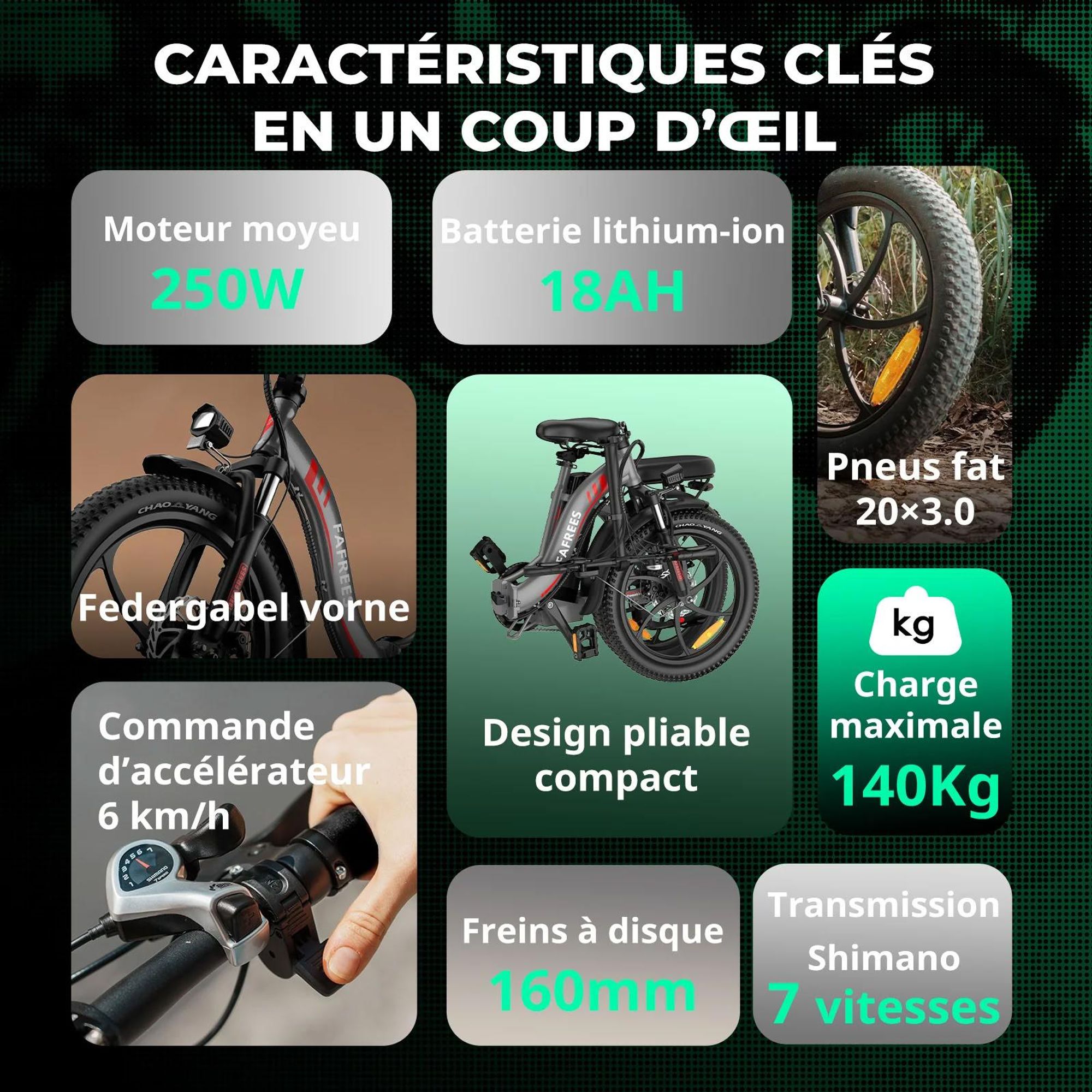 FAFREES F20 Vélo Électrique - Moteur 250W Batterie 36V18Ah 20'' Freins Mécaniques - Gris