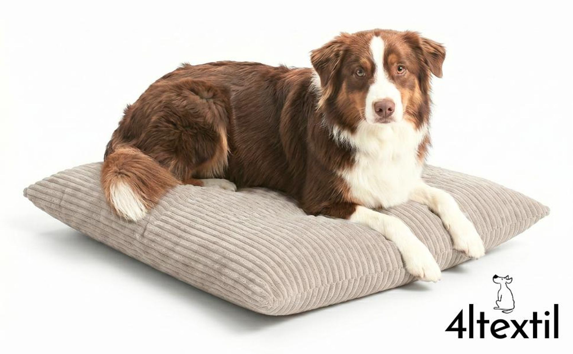 4L Textil MOLLY Hundekissen aus Cord