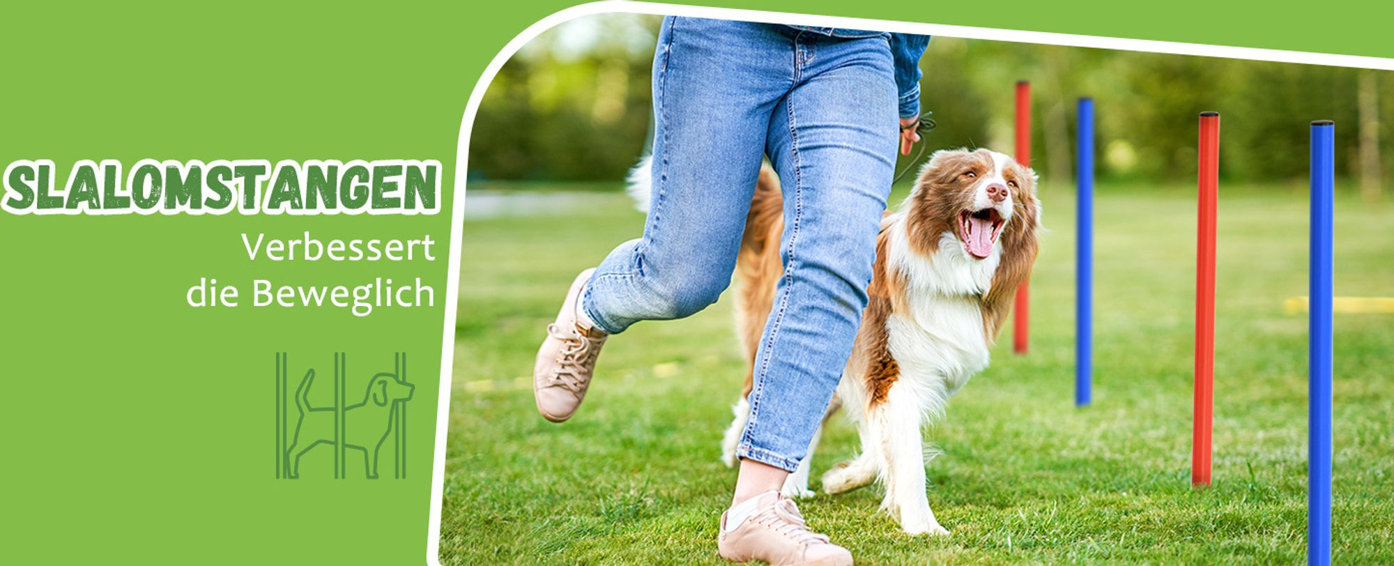 Pawhut Hunde Agility Slalom Übung Hundesport Training Reifen Hürde Set 2 Modelle