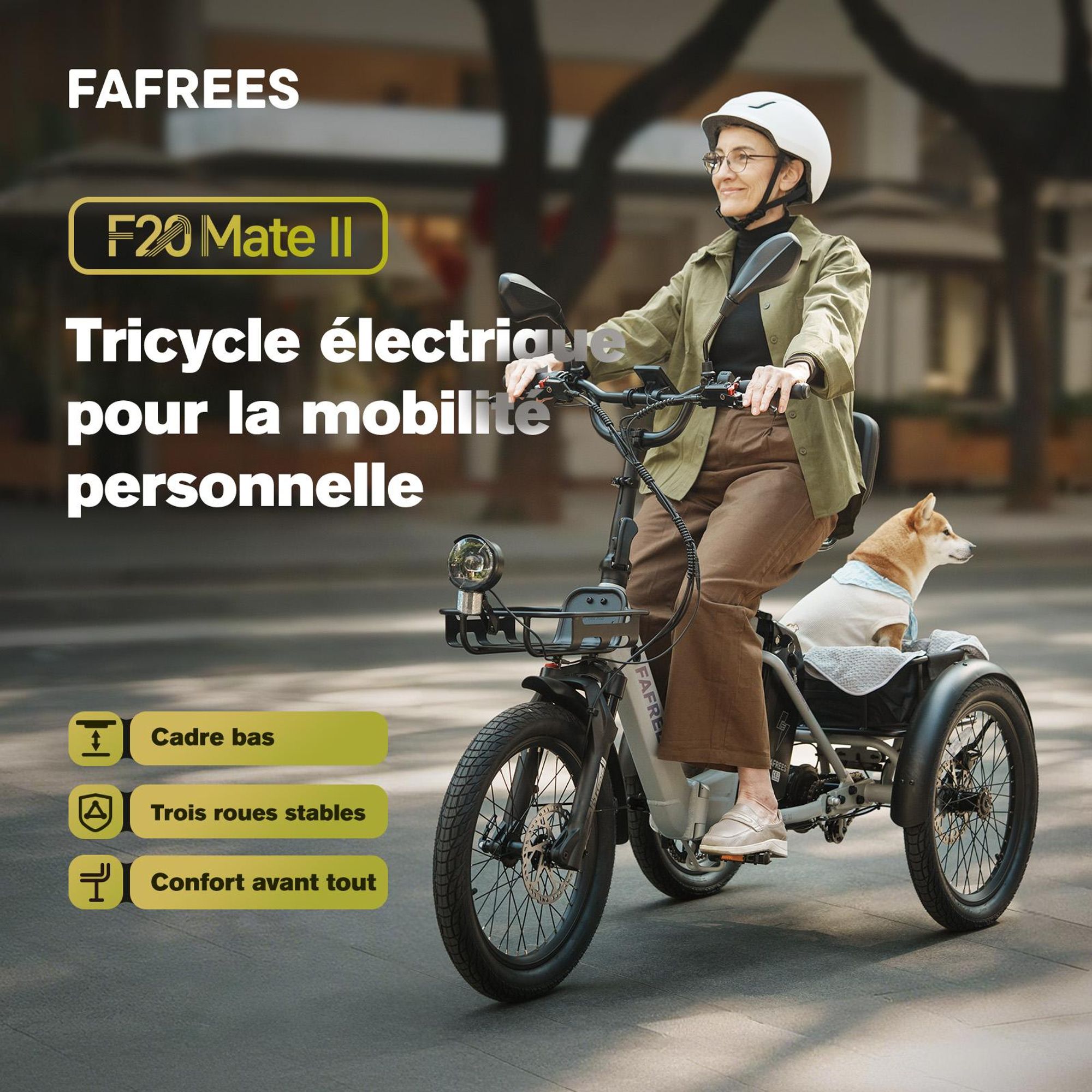 Vélo électrique FAFREES F20 Mate II - Moteur 250W batterie 48V21Ah pneus 20 pouces freins à disque hydrauliques - Noir anthracite
