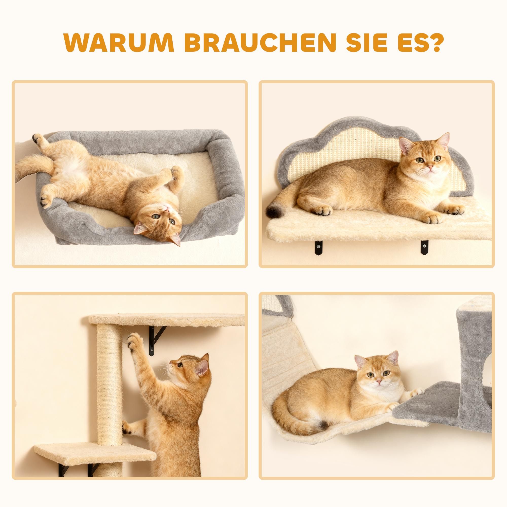 Katzenwandmöbel Wand