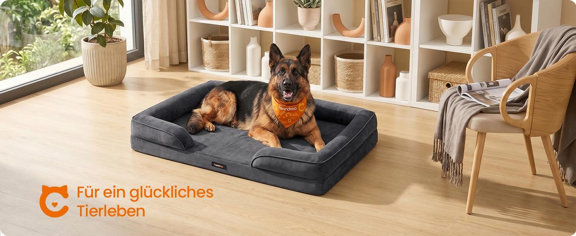FEANDREA Orthopädisches Hundebett XXXL, abnehmbarer Bezug, erhöhte Ränder, rutschfest, waschbar, Haustierbett, dunkelgrau
