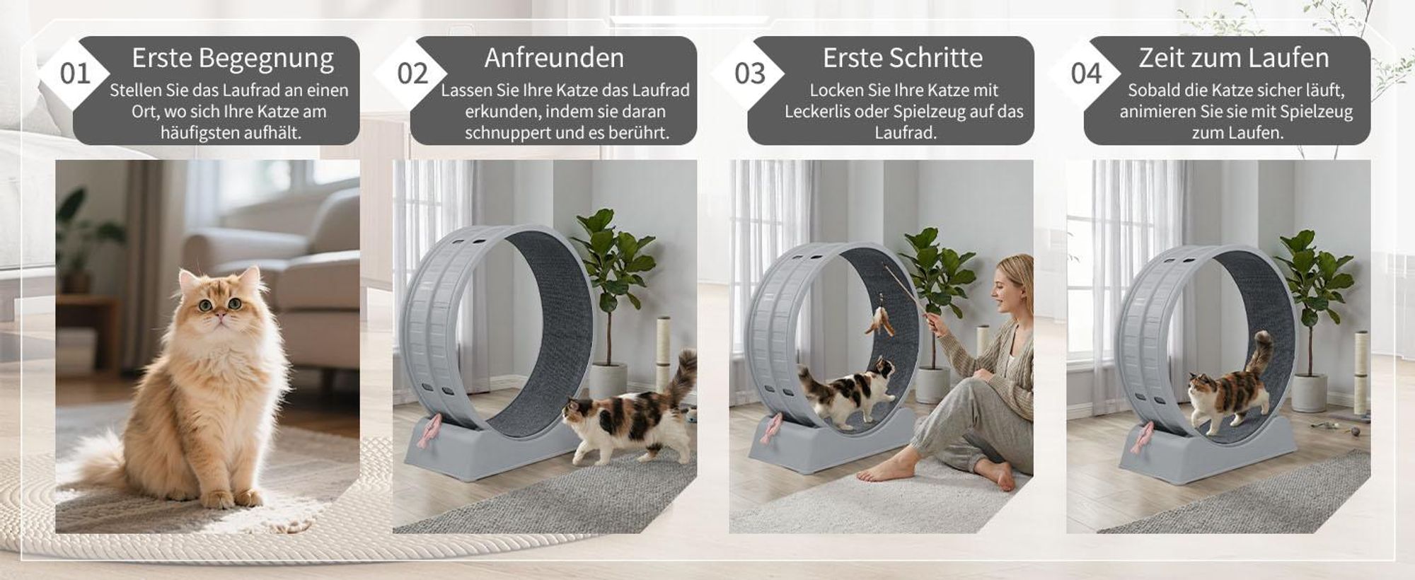 FCH Katzenlaufrad, Laufband für Katzen, Innendurchmesser 80cm, PP-Kunststoff, leise Laufband und Sicherheitsschloss-Design, Grau