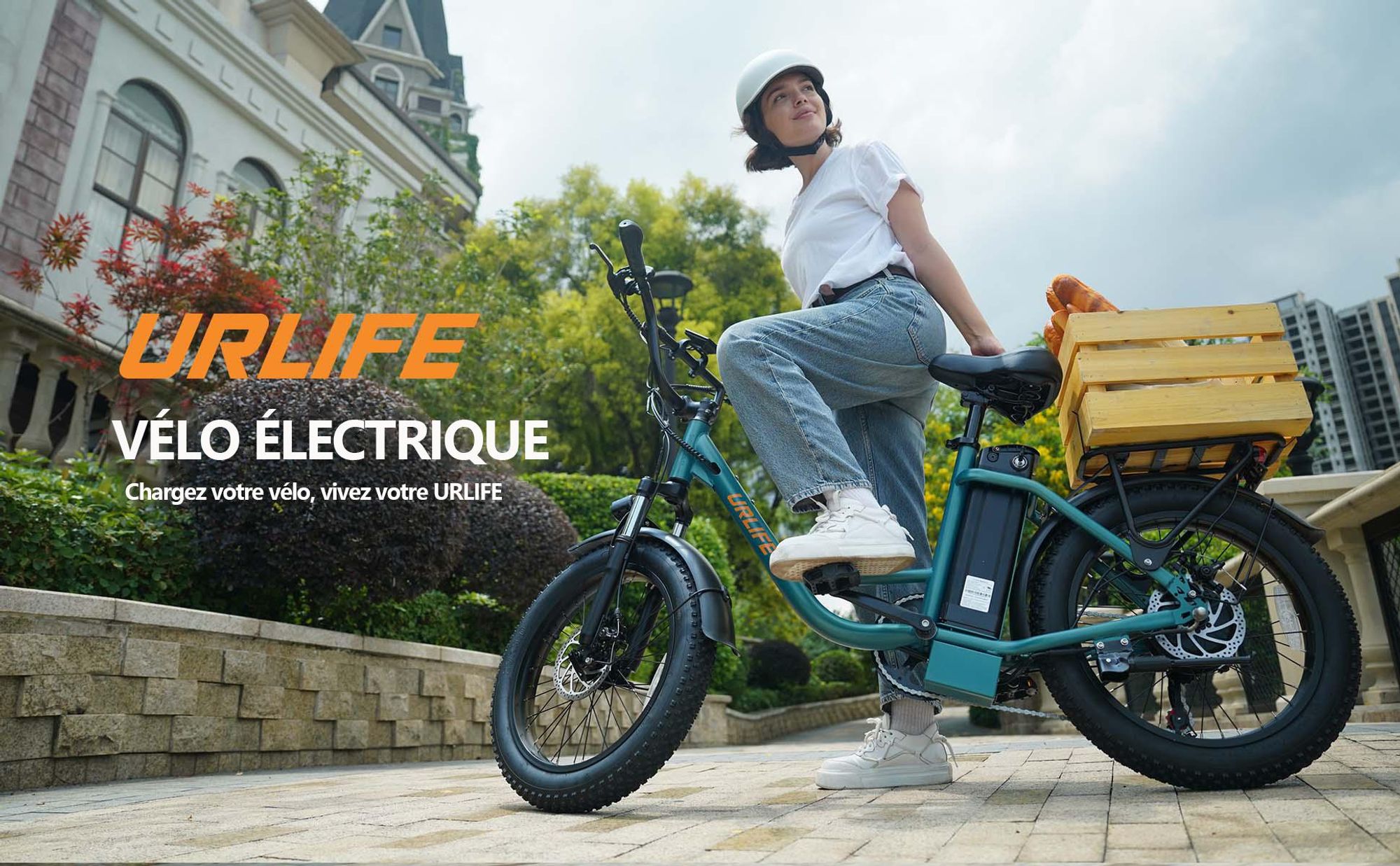 Vélo Électrique URLIFE E20 - Moteur 250W Batterie 48V 13Ah Pneus De 20 Pouces Freins à Disque - Noir