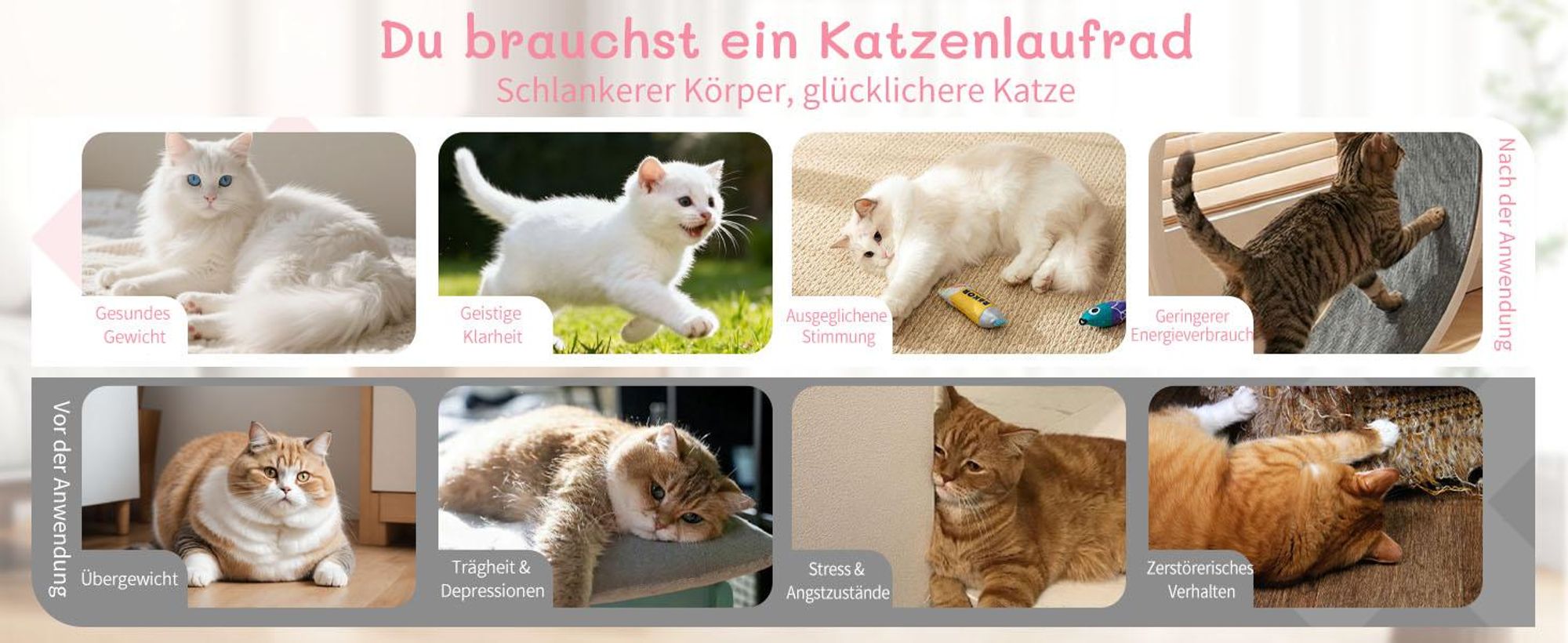 FCH Katzenlaufrad, Laufband für Katzen, Innendurchmesser 80cm, PP-Kunststoff, leise Laufband und Sicherheitsschloss-Design, Rosa