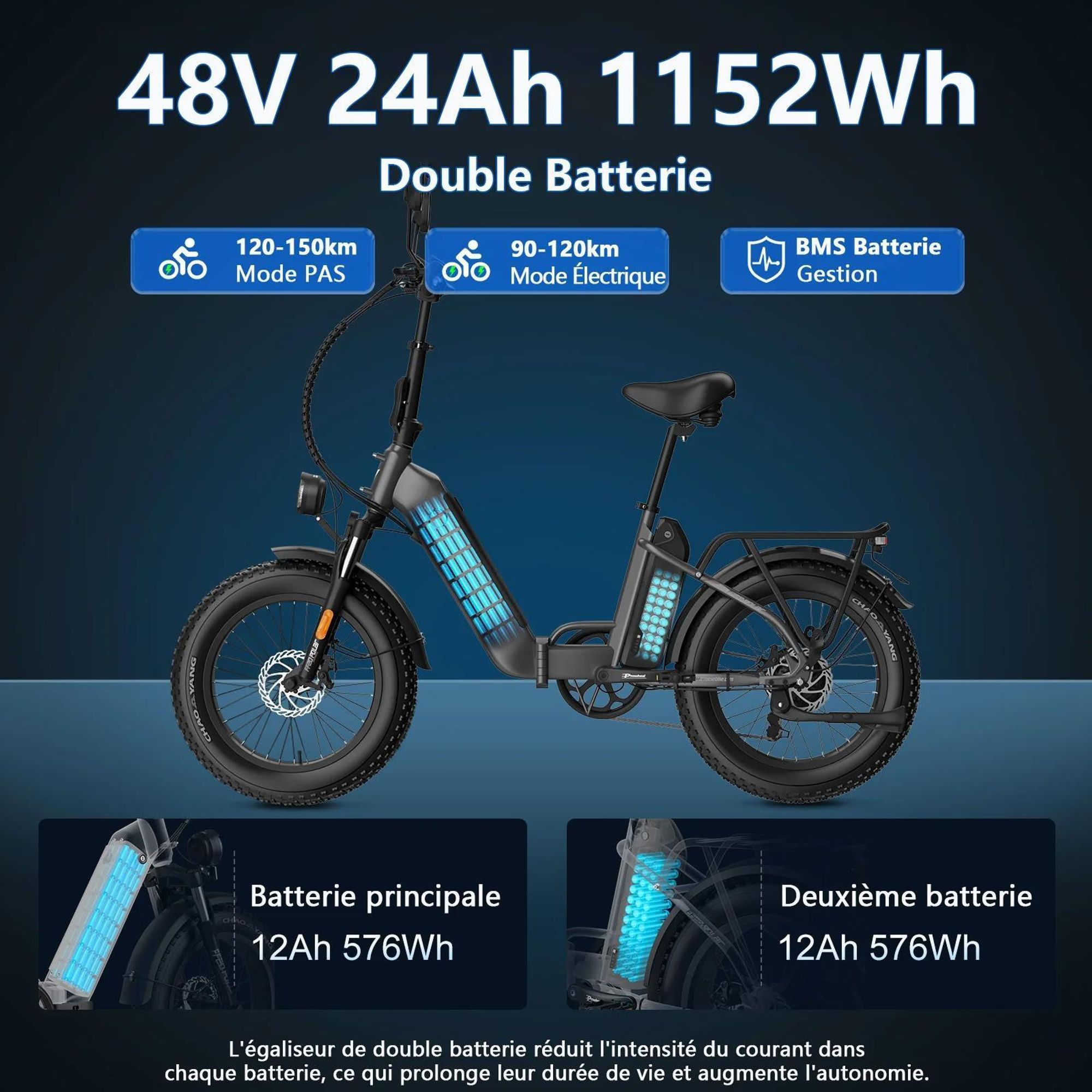Vélo Électrique FAFREES FF20 Polar - Batterie 48V12*2AH 20" Frein à Disque Hydraulique - Gris Bleu