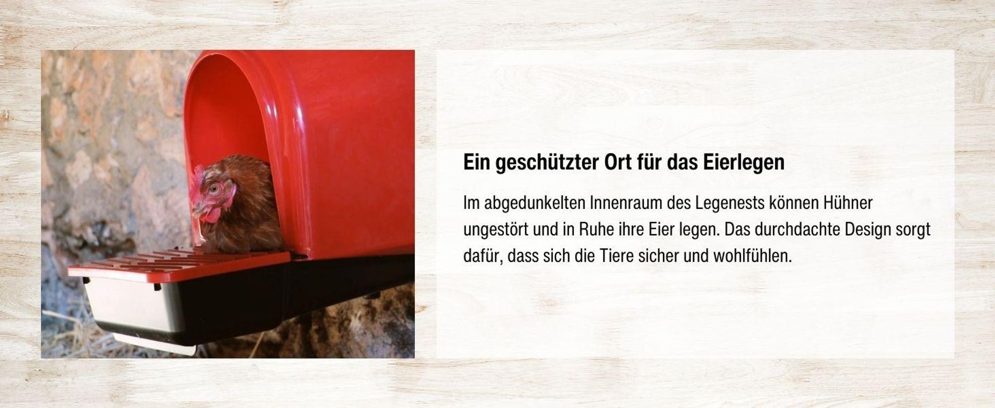 horizont Legenest mit Eiablage, Hühnernest aus Kunststoff, Abrollnest für bis zu 6 Hühner, zur Wandmontage