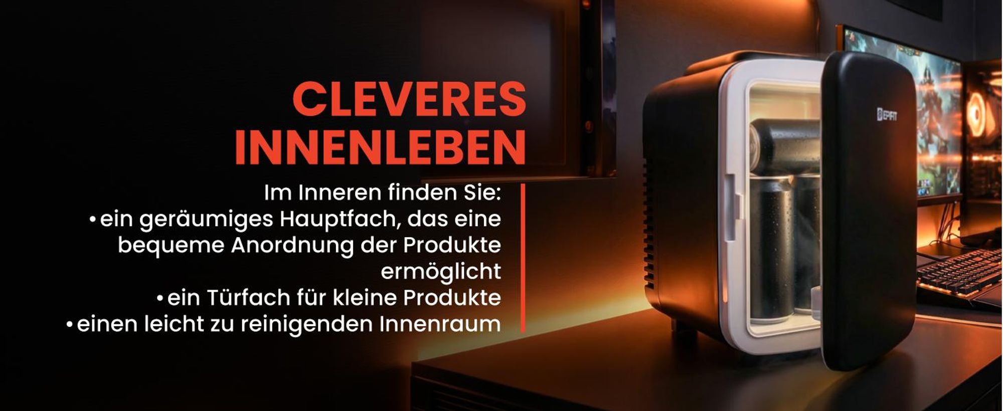 Kühlschrank Kühlbox kühlt heizt 4L für Medikamente Getränke Kosmetik