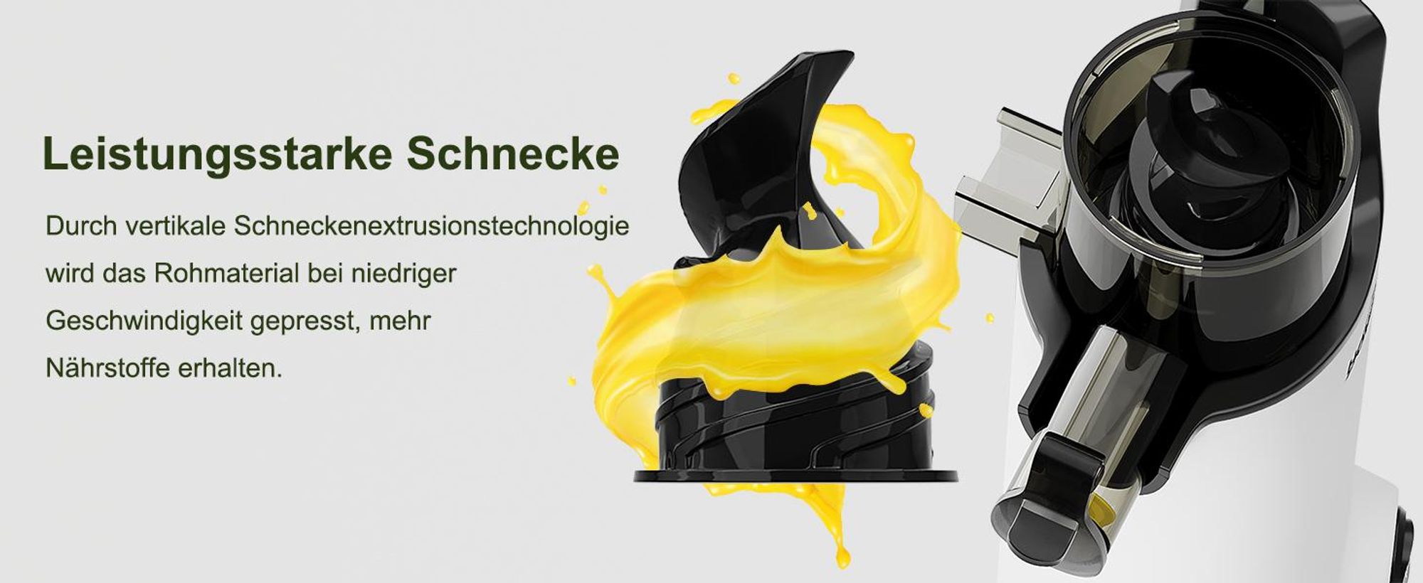HOMELUX Slow Juicer Kleiner Entsafter Sicherheitsverriegelung, Mini, kompakt , 120 W , Geräuscharm, mit 2 Tassen, Reinigungsbürste, Grau