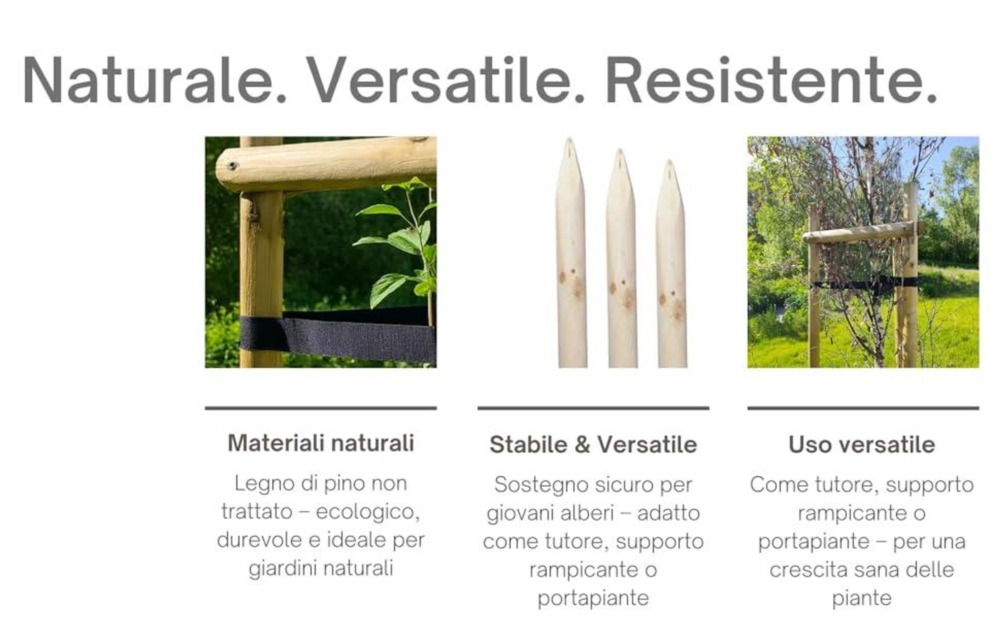 TIMBERMIK Kit Tutto Incluso per Sostegno Alberi Ø 6 cm 240 cm – 3 Pali in Legno 3 Cinghie Nere 6 Semicerchi Legno Supporto Piantagione Giardino