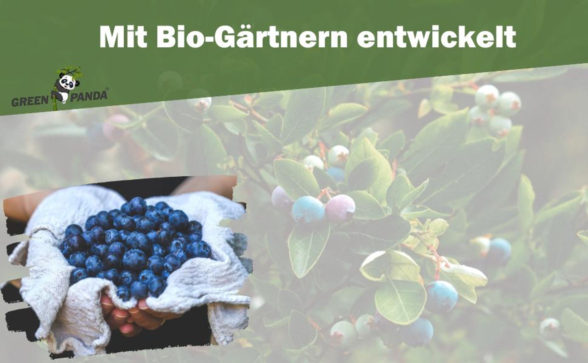 GreenPanda Heidelbeer- & Blaubeerdünger - Verbessert Ernte & Geschmack! - 1 Liter Beerendünger