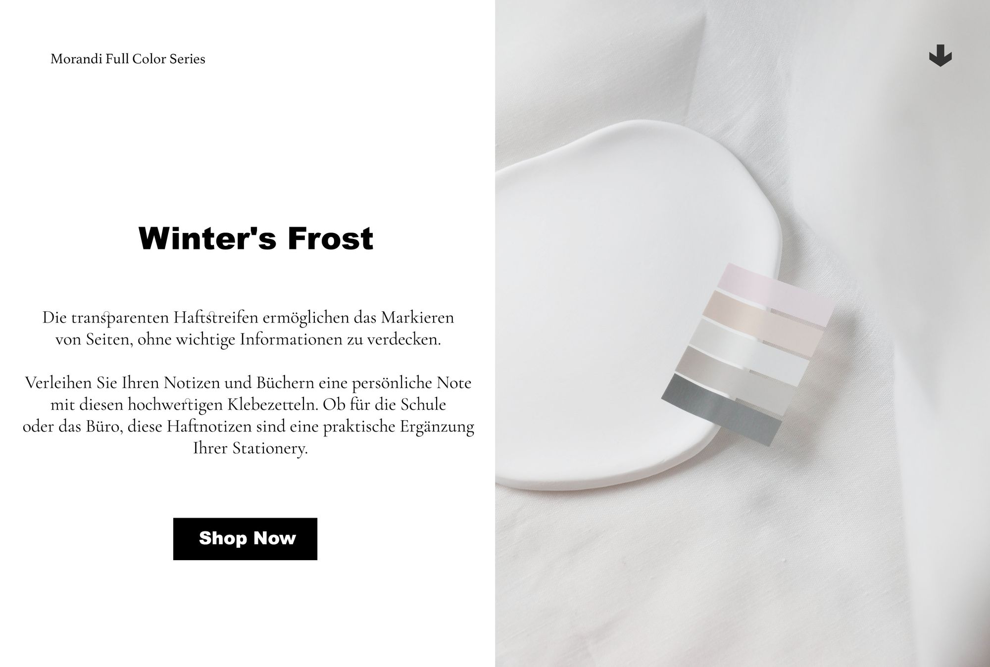 Ordinate Winter's Frost 200 Stück Haftnotizen Tabs, Gray Stile Pagemarker Selbstklebend Pastell Beschreibbare Haftstreifen Klebezettel mit Lineal