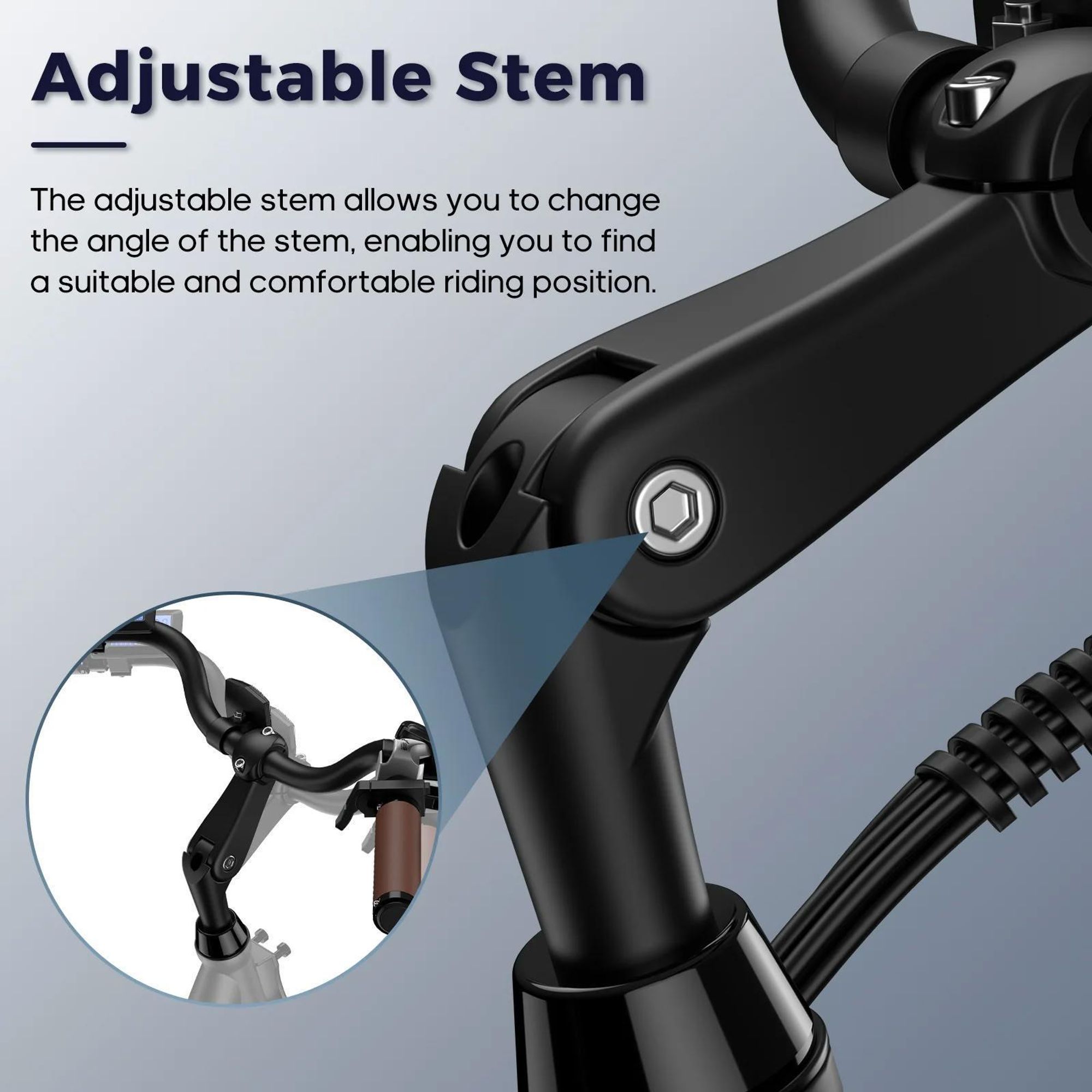 Bicicletta Elettrica FAFREES F26 Lasting - Motore 250W Batteria 36V25Ah 26x1.95 Pollici Pneumatici Freni a Disco Meccanici - Nero