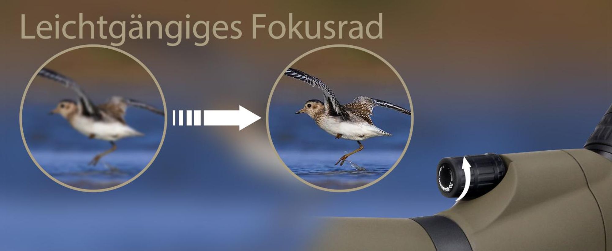 Svbony SV401 Spektiv, 20-60x80 Spektiv mit Stativ, Wasserdichtes FMC Optik 45-Grad Abgewinkelt Spektive für Sportschützen Vogelbeobachtung Zuhause oder Outdoor