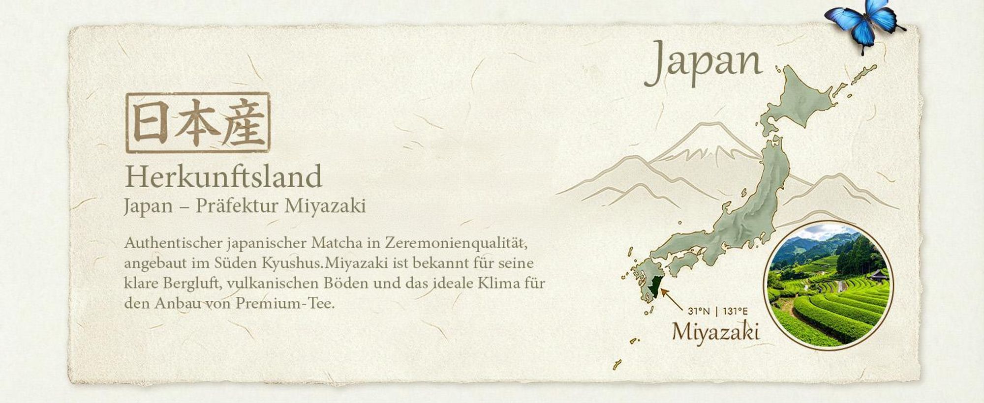 Mary Rose - Matcha Tee Ceremonial Tenno Japan 30g - Hochwertiges Grüner Tee Pulver aus Miyazaki - Mild, Umami - Erste Ernte - Ohne Bitterkeit