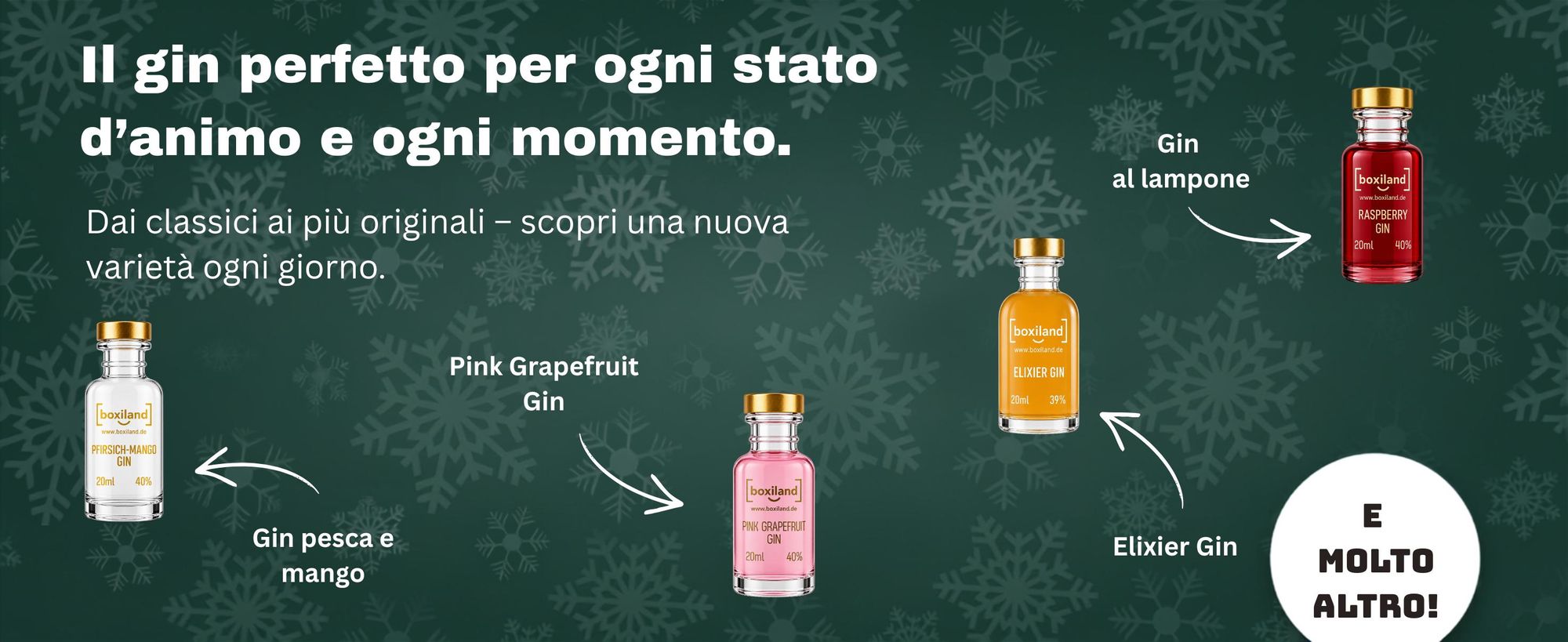 BOXILAND® calendario avvento gin 2026, 24 tipi da 0,02 l, degustazione gin