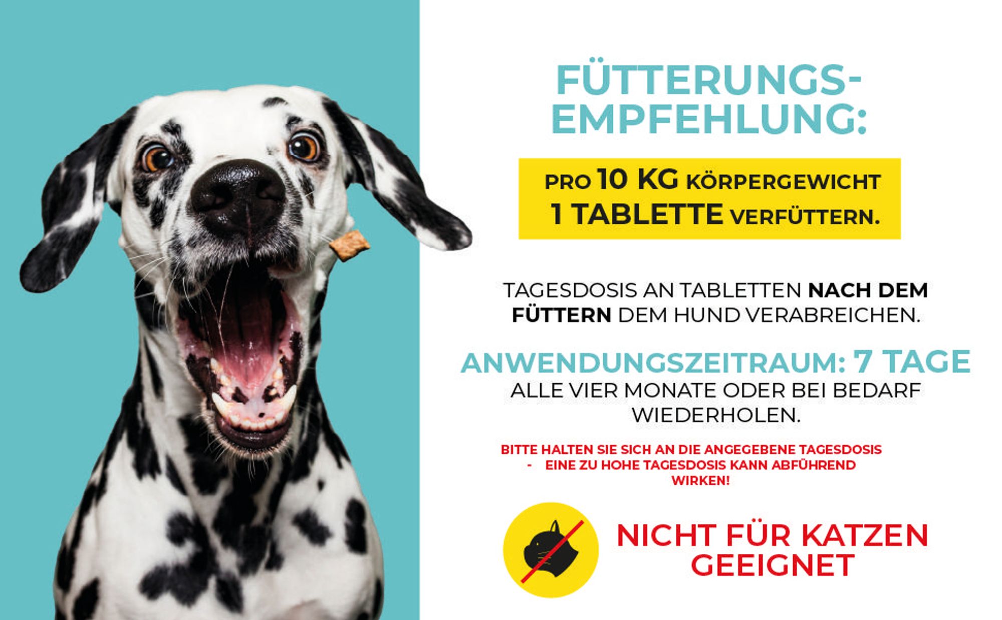 Adema Natural® Wormilen Forte – Wurmmittel für Hunde – nur für Hunde- natürliche Entwurmung – Wurmkur Hund – Entwurmungsmittel - Wermut