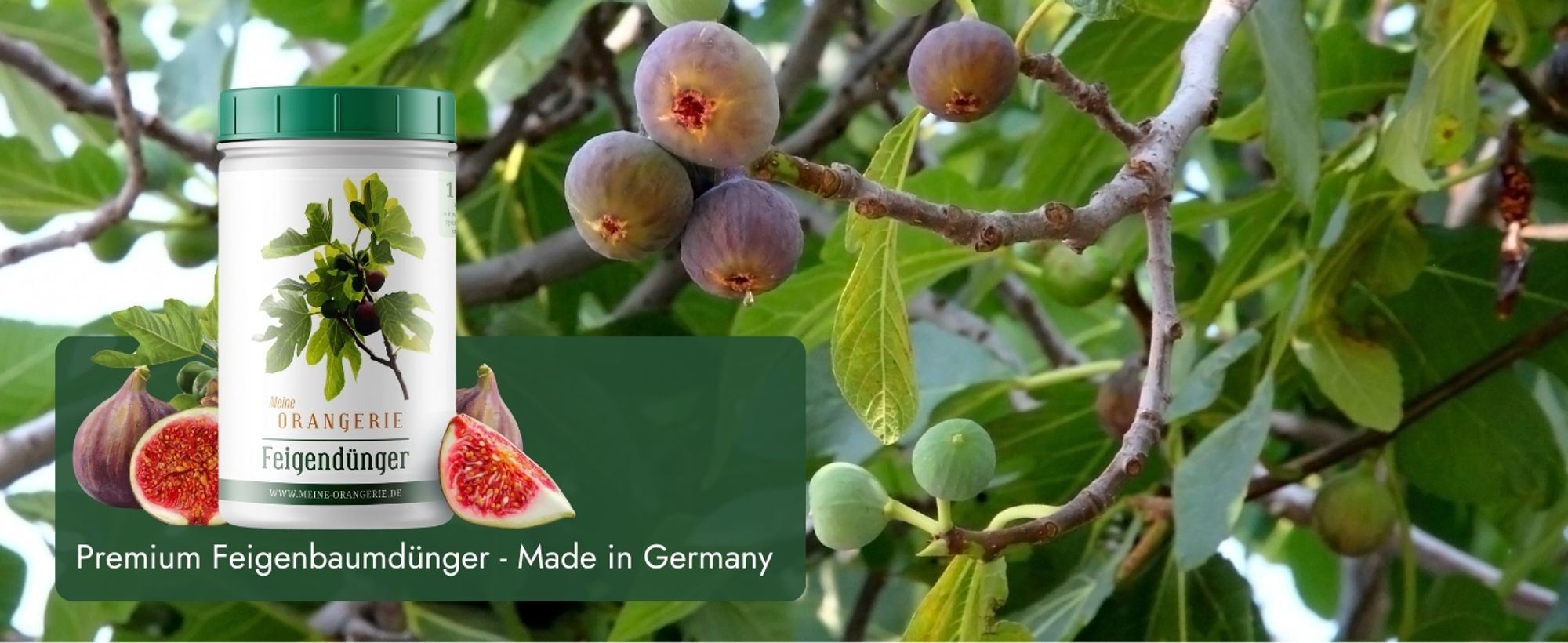 Meine Orangerie Feigenbaum Dünger [1kg] - Premium Dünger für Feigenbäume - Spezielle Formulierung für starke Pflanzen und viele Früchte