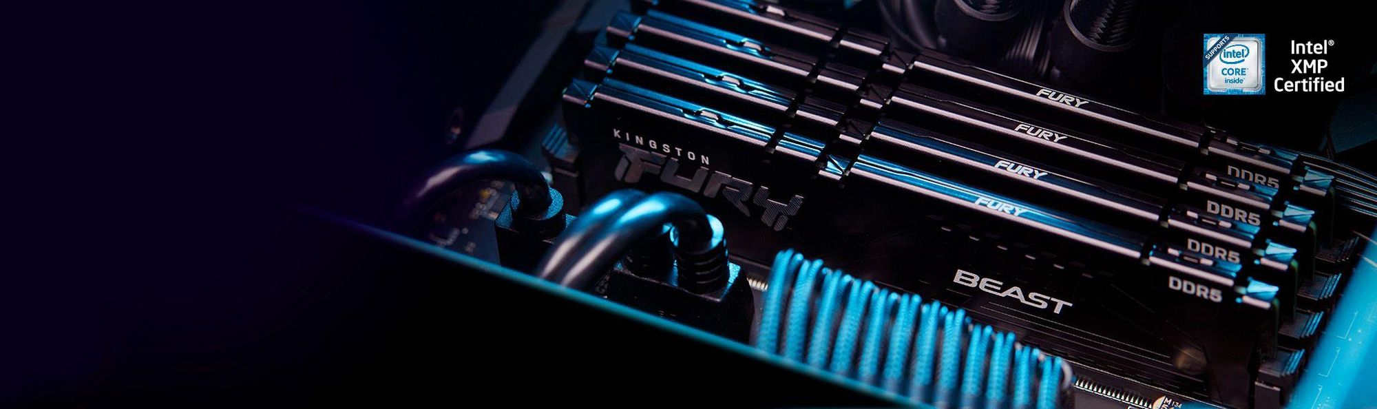 Kingston FURY Beast - DDR5 - Kit - 32 GB: 2 x 16 GB - DIMM 288-PIN - 5600 MHz / PC5-44800 - CL36 - 1.25 V - ungepuffert - on-die ECC - Schwarz