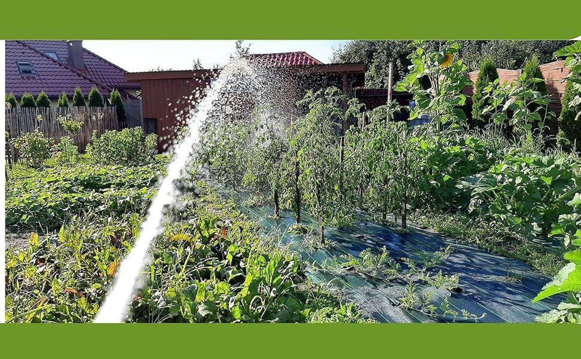 160 m² (100m x 1,6m) Gartenvlies gegen Unkraut Grün – Unkrautvlies 100g/m² - Hohe UV-Stabilisierung - Unkrautfolie Wasserdurchlässig - Unkrautschutzfo