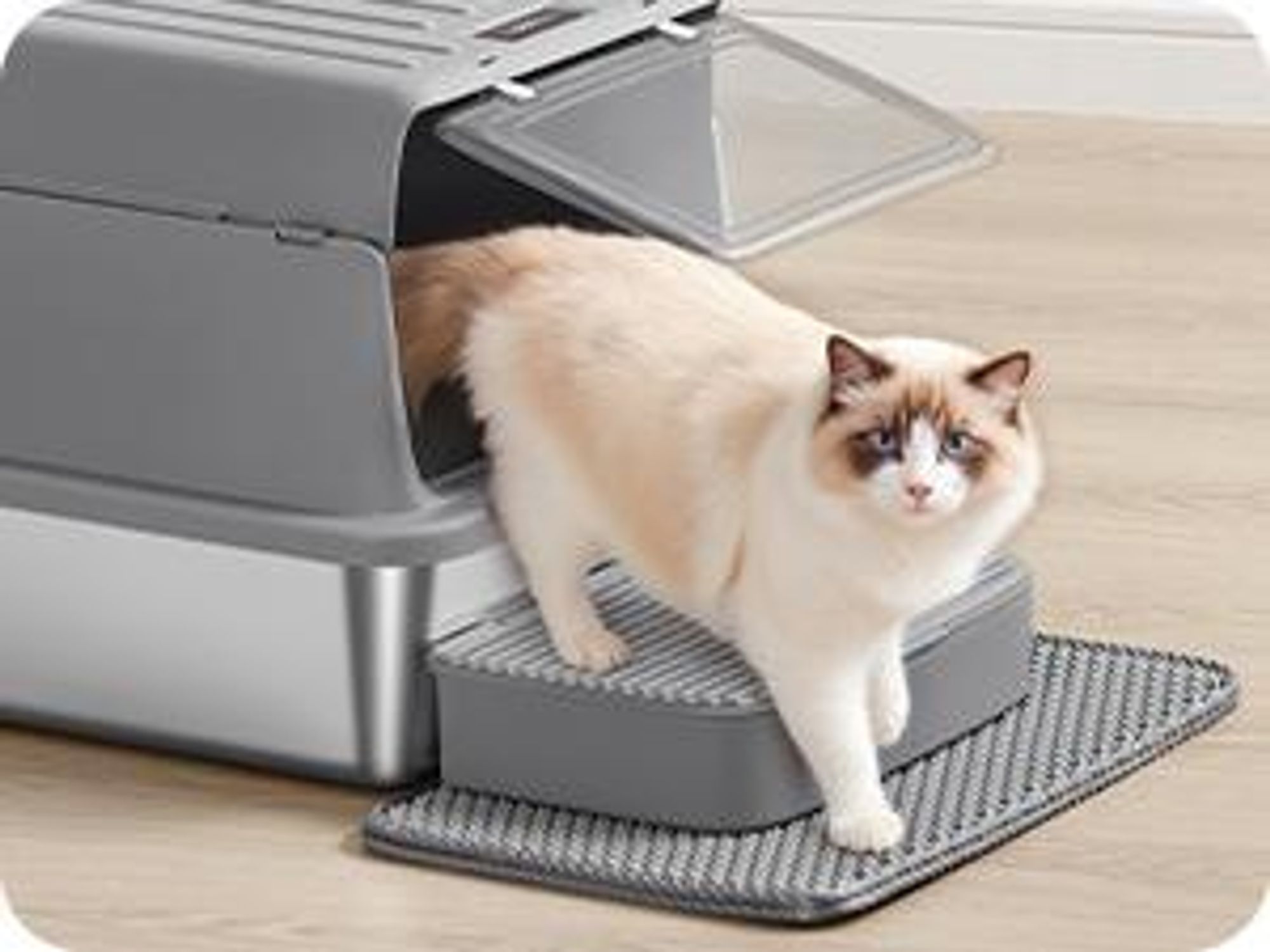 Feandrea Katzenklo Edelstahl, Katzentoilette mit Deckel, mit Schaufel, Katzenstreumatte und 2 Eingängen, für Katzen bis 15 kg, hellgrau