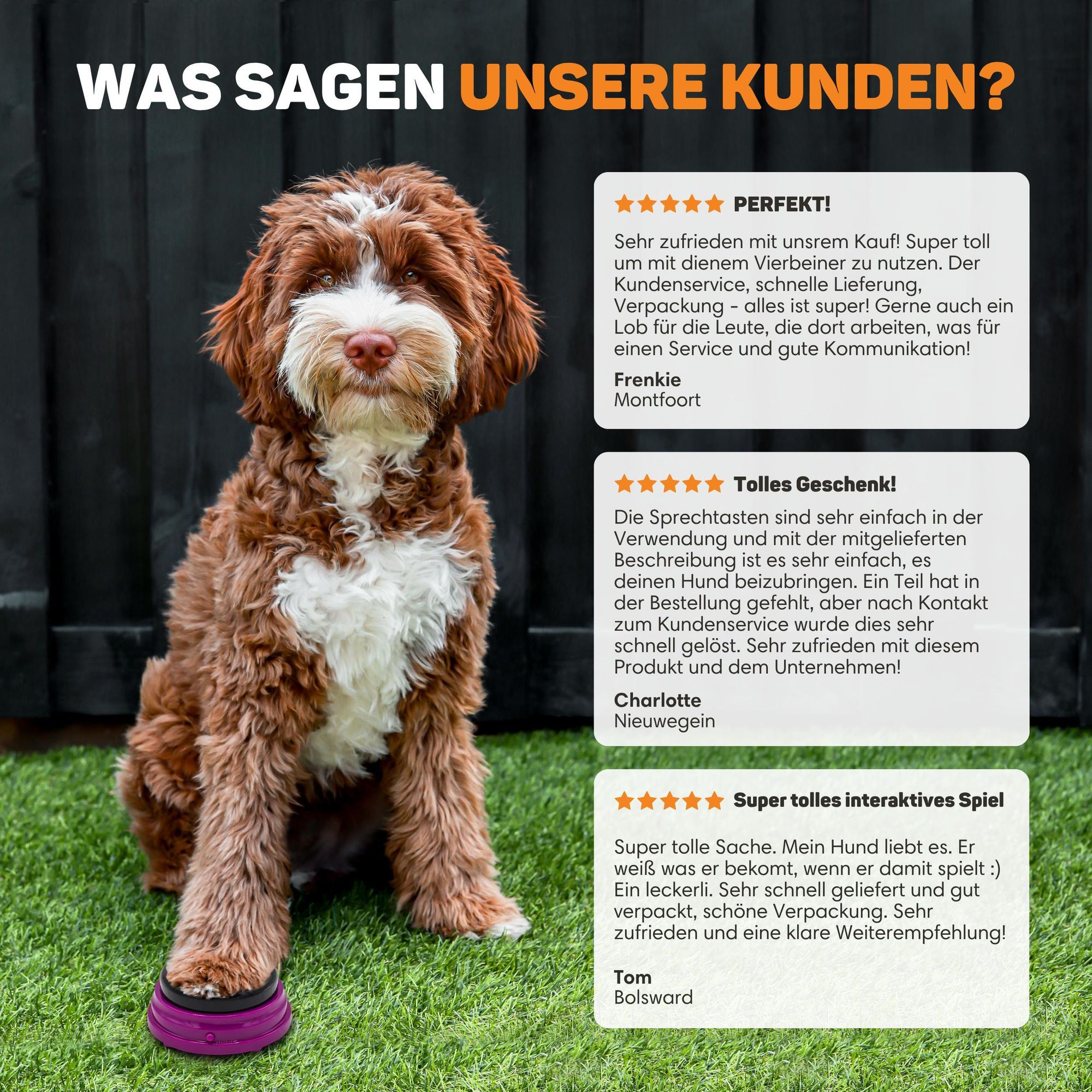 Vulpes Goods Hundeknöpfe, Hundetasten, Haustiertasten für Kommunikation, Hundespielzeug, Hundetraining, Mit 4 Tasten, Inklusive Trainingsaufkleber
