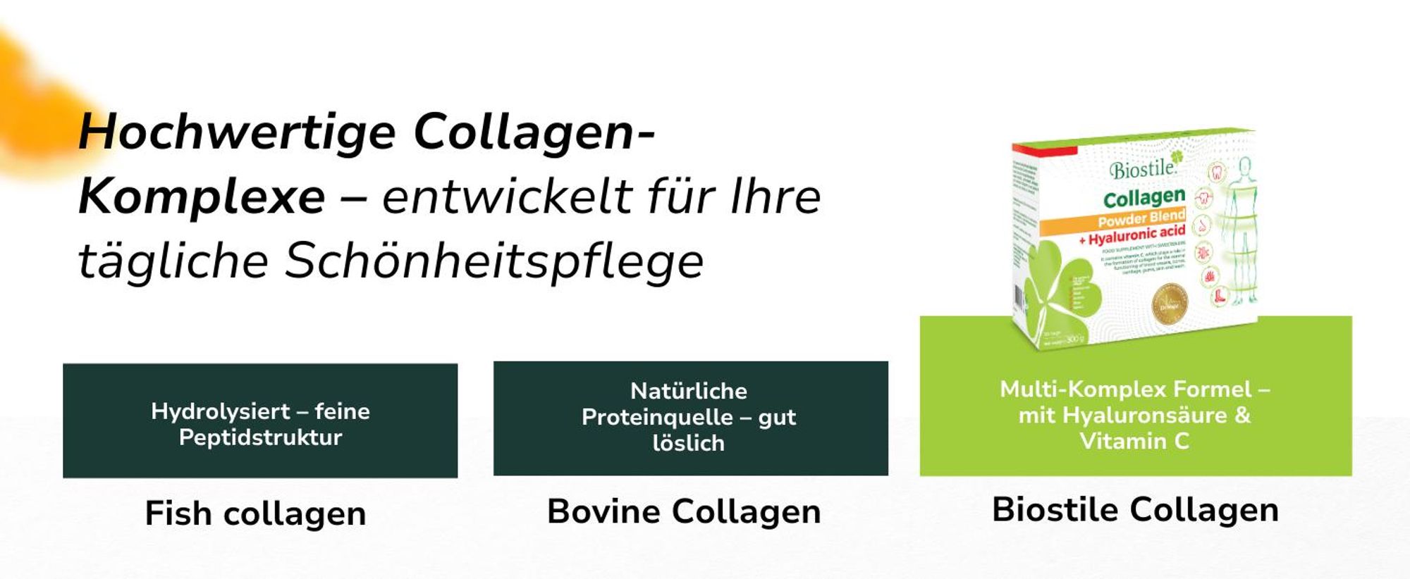 Collagen Powder Blend + Hyaluronsäure