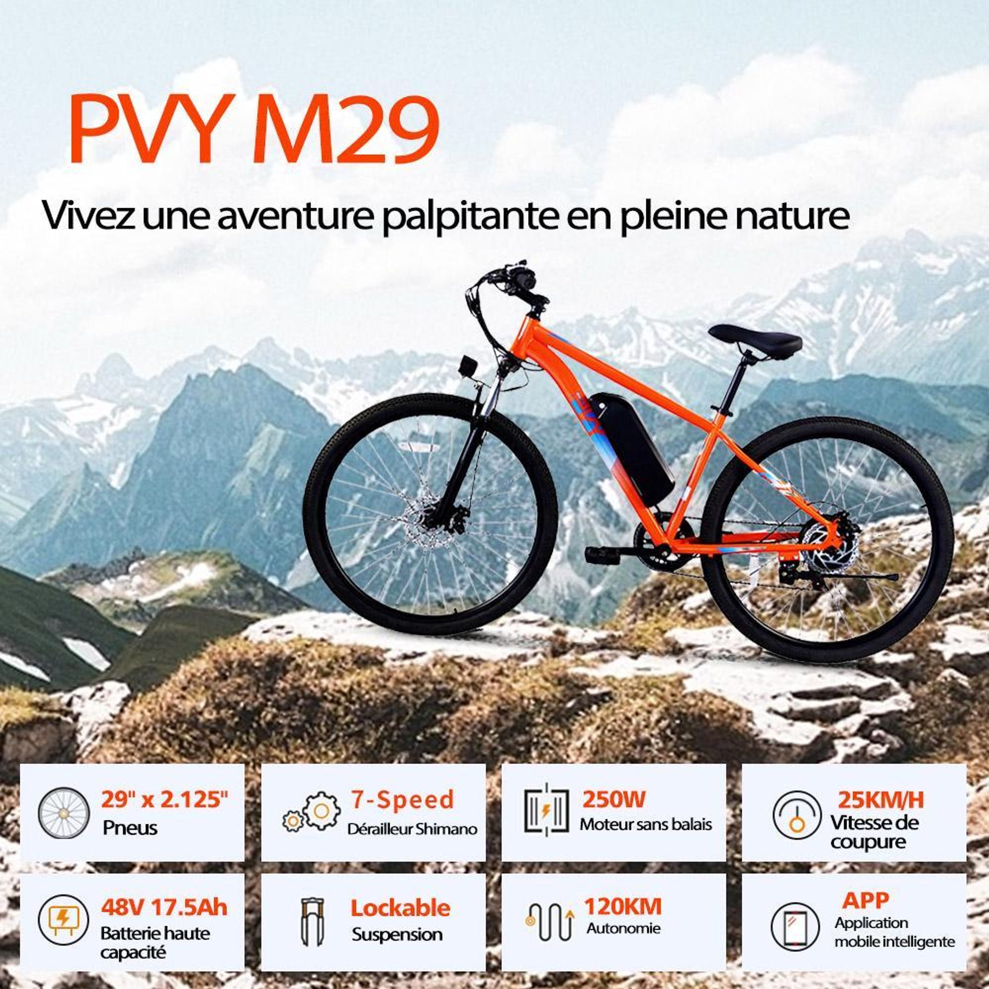 PVY M29 Vélo Électrique - Moteur 250W Batterie 48V17.5AH Pneus 29" Freins à Disque Mécaniques - Gris