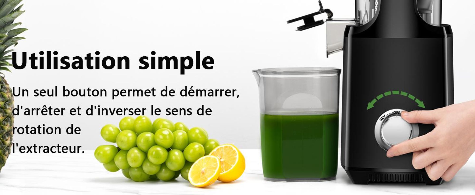 LINKChef SJ-052-EU-BL Centrifugeuse -  250W Puissance 1.8L Grande capacité Pression à froid à vitesse lente (50-65 tr/min) - Noir