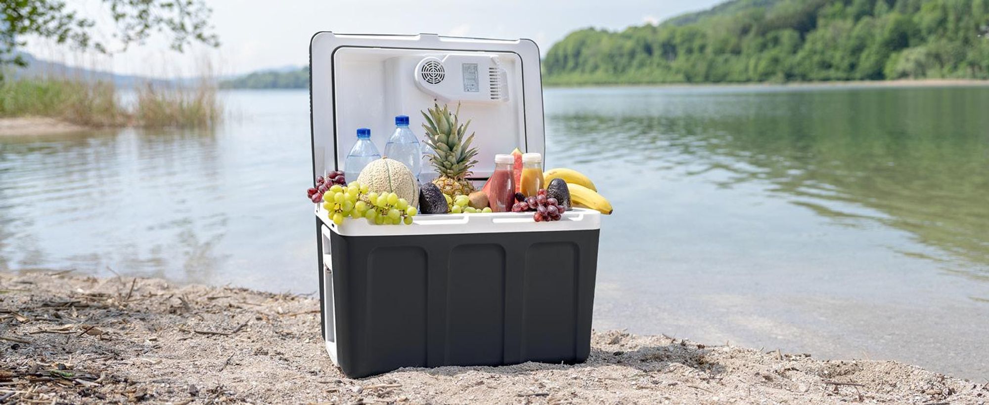 TZS First Austria - Kühlbox 45L elektrisch 12V 230V Anschluss für Auto & Steckdose - Thermoelektrisch - Schwarz