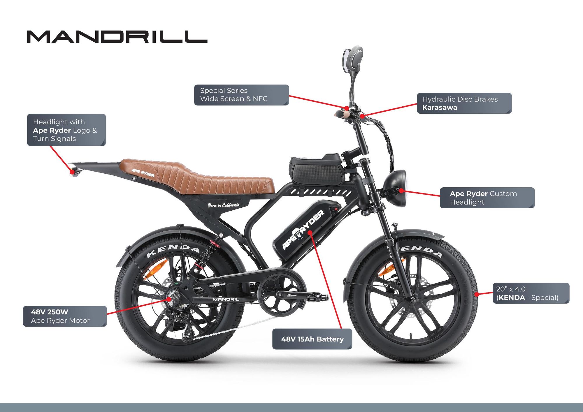 APE RYDER Mandrill E-Bike 20" Fatbike, 250W Motor, 48V 15Ah (100-130 km), Hydraulische Scheibenbremsen, Dual Suspension, Shimano 7-Gang, 25 km/h