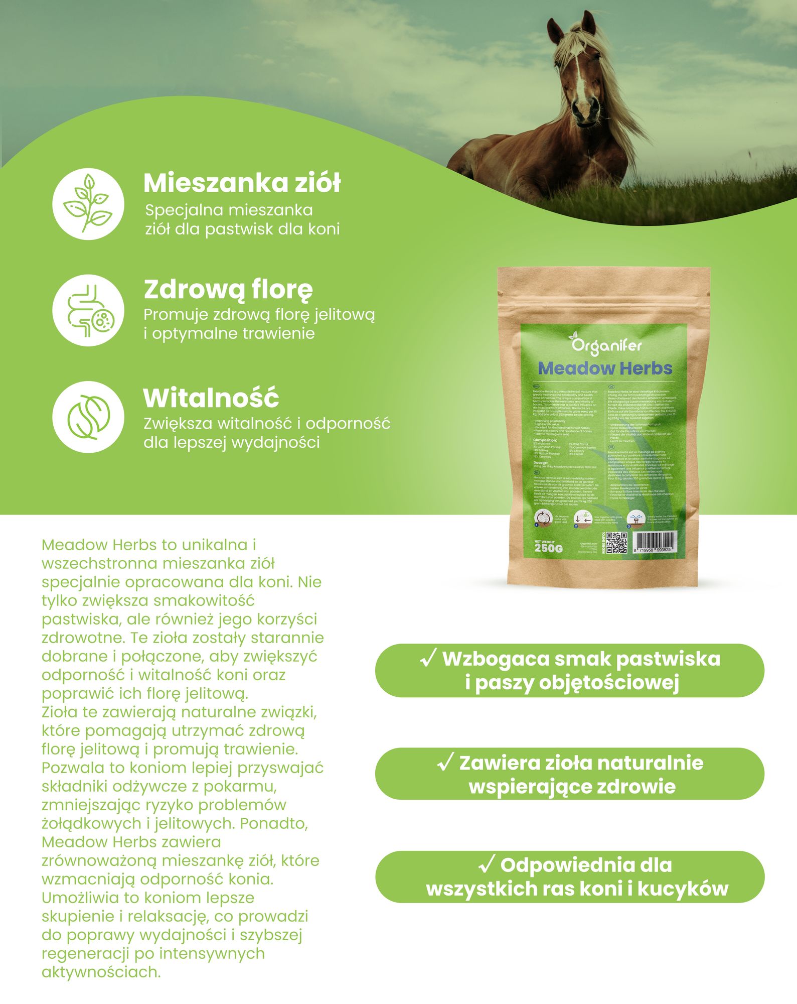 Mieszanka ziół łąkowych – na pastwisko dla koni (250 gramów na 3000 m2) - Organifer