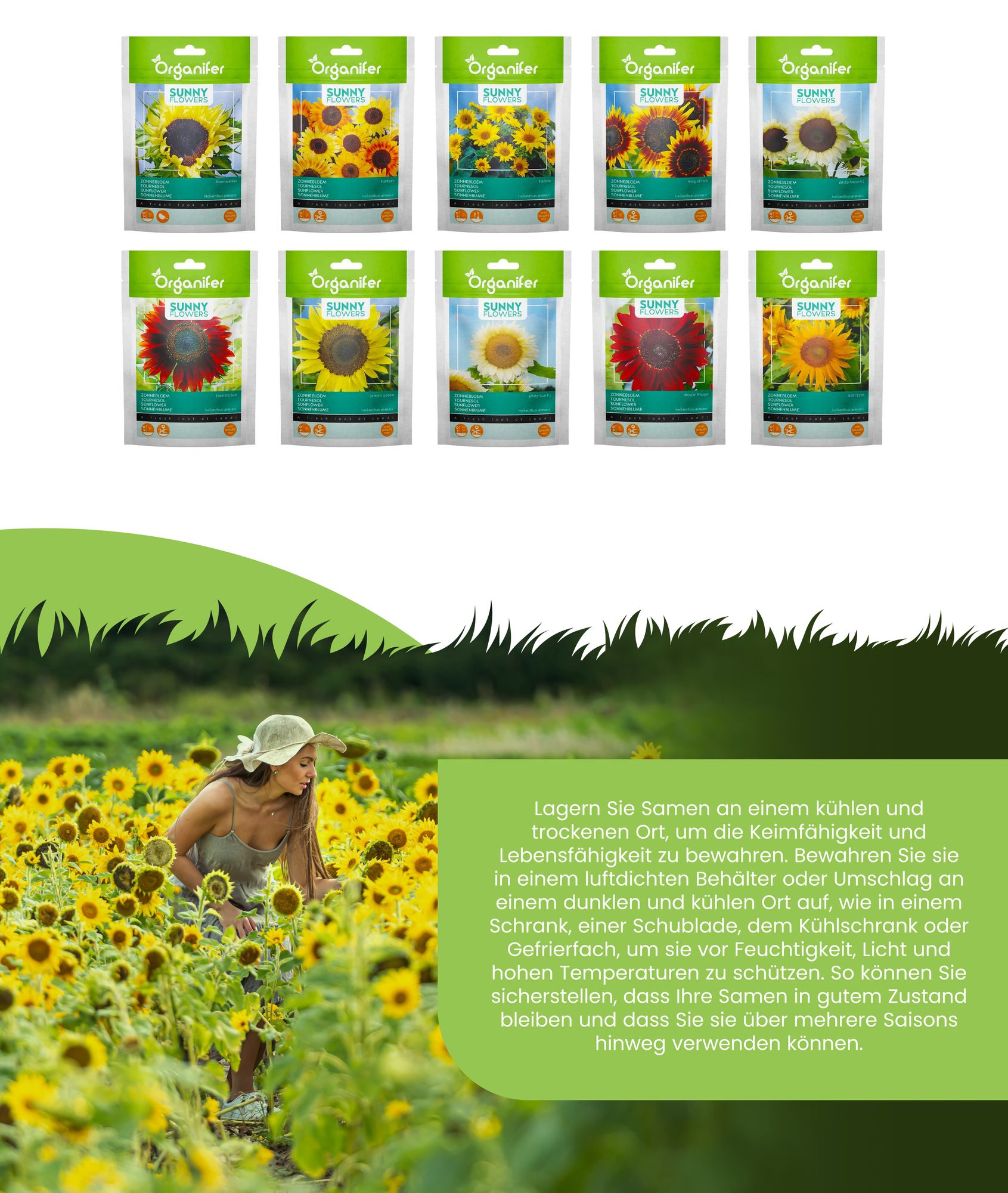 Sonnenblumen-Saatgutpaket - 10 Arten