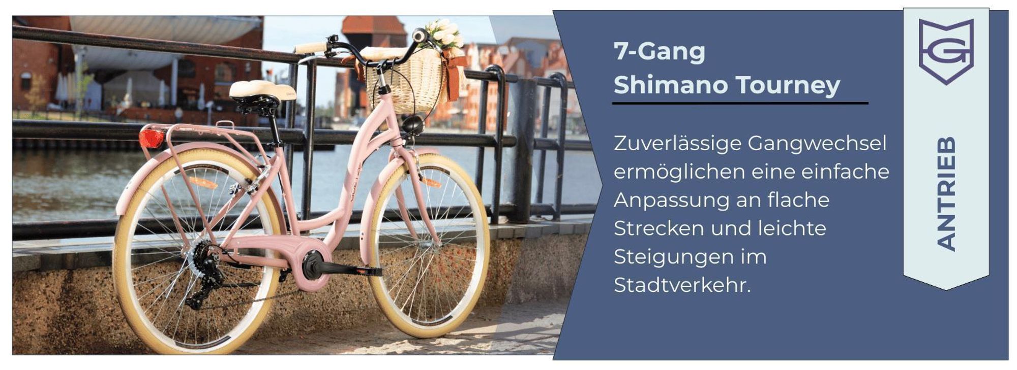 Goetze Mood 28 Zoll City Bike, 18 Zoll Tiefeinsteigerrahmen, 7-Gang Shimano Tourney, V-Bremse, LED-Beleuchtung, Komfortsattel, Rattankorb