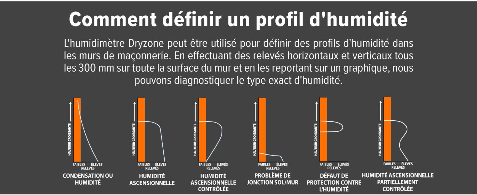Dryzone Testeur d'Humidité - Détecteur d'Humidité à Broche et Écran LCD - pour Murs, Bois et autres Matériaux de Construction - Facile à Utiliser