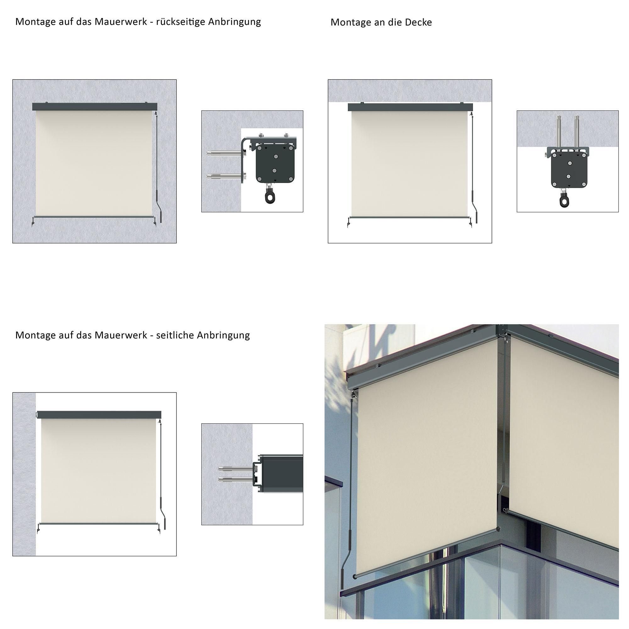 Senkrechtmarkise Balkon 160x250cm Markise mit Kassette Sichtschutz Outdoor Anthrazit Beige paramondo Senkrechtmarkise 2000