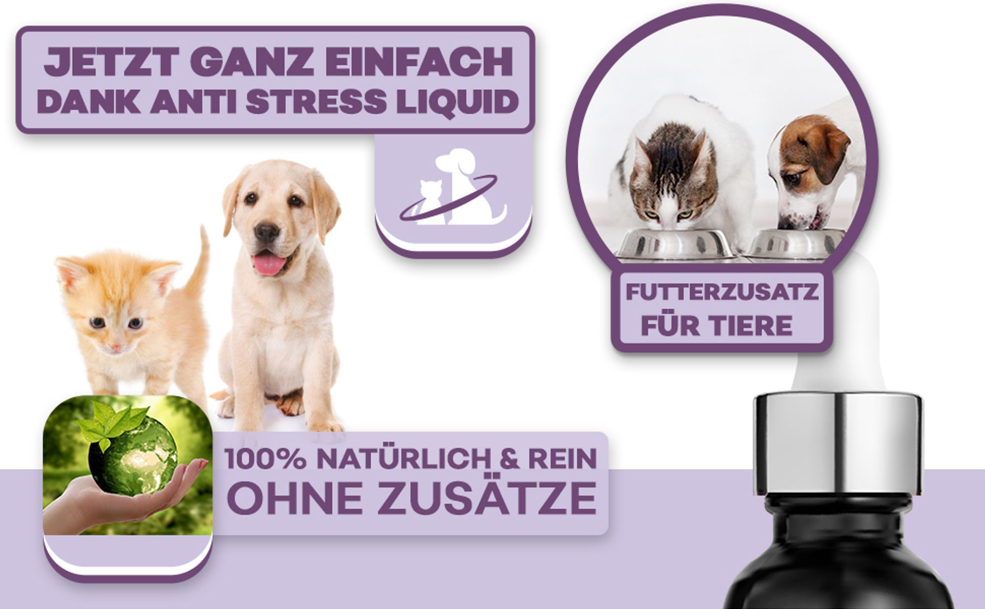 Hello Animal - Anti Stress - für Hunde und Katzen - pflanzliches Hаnföl - gegen Angst und innere Unruhe - Beruhigungsmittel für Hunde - Angststörung