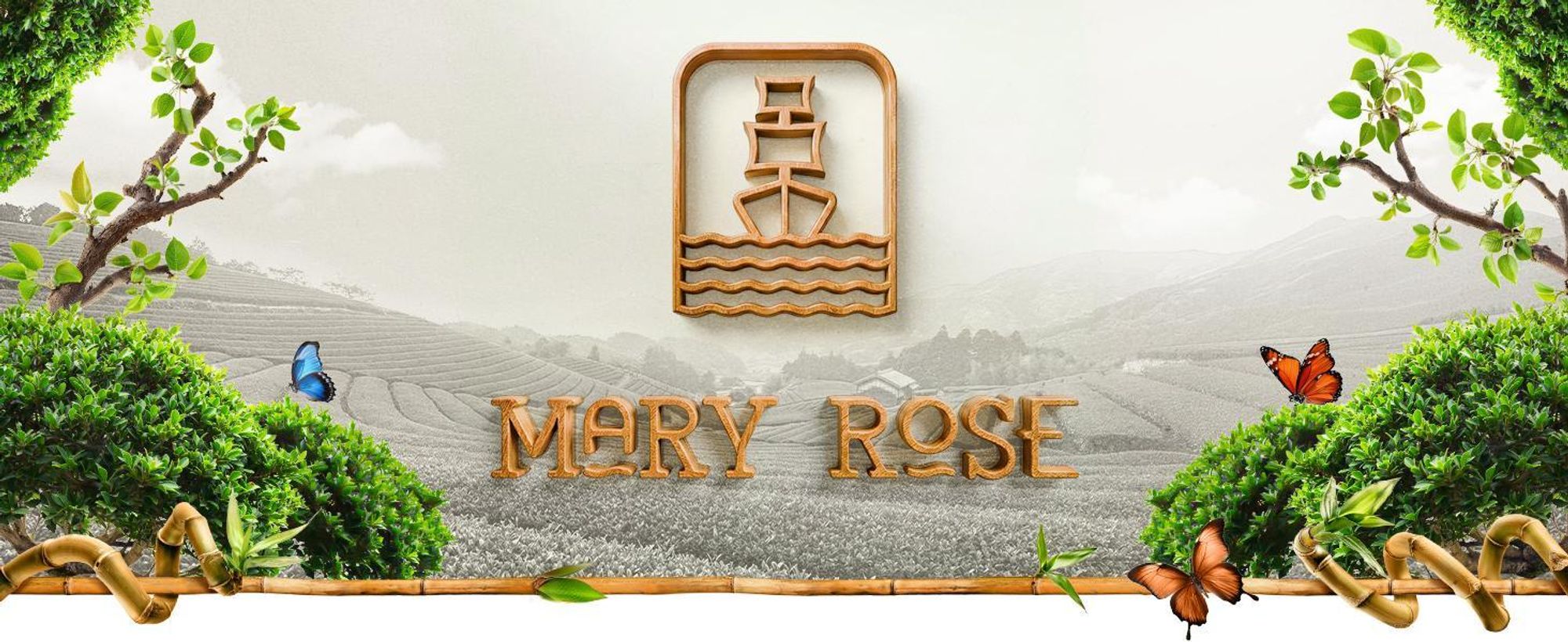 Mary Rose - Hojicha Bio Pulver Geröstet Matcha 100g - Japan - Nussiges Aroma, Mild - Ohne Bitterkeit - Ideal für Latte, Backen - Wenig Koffein