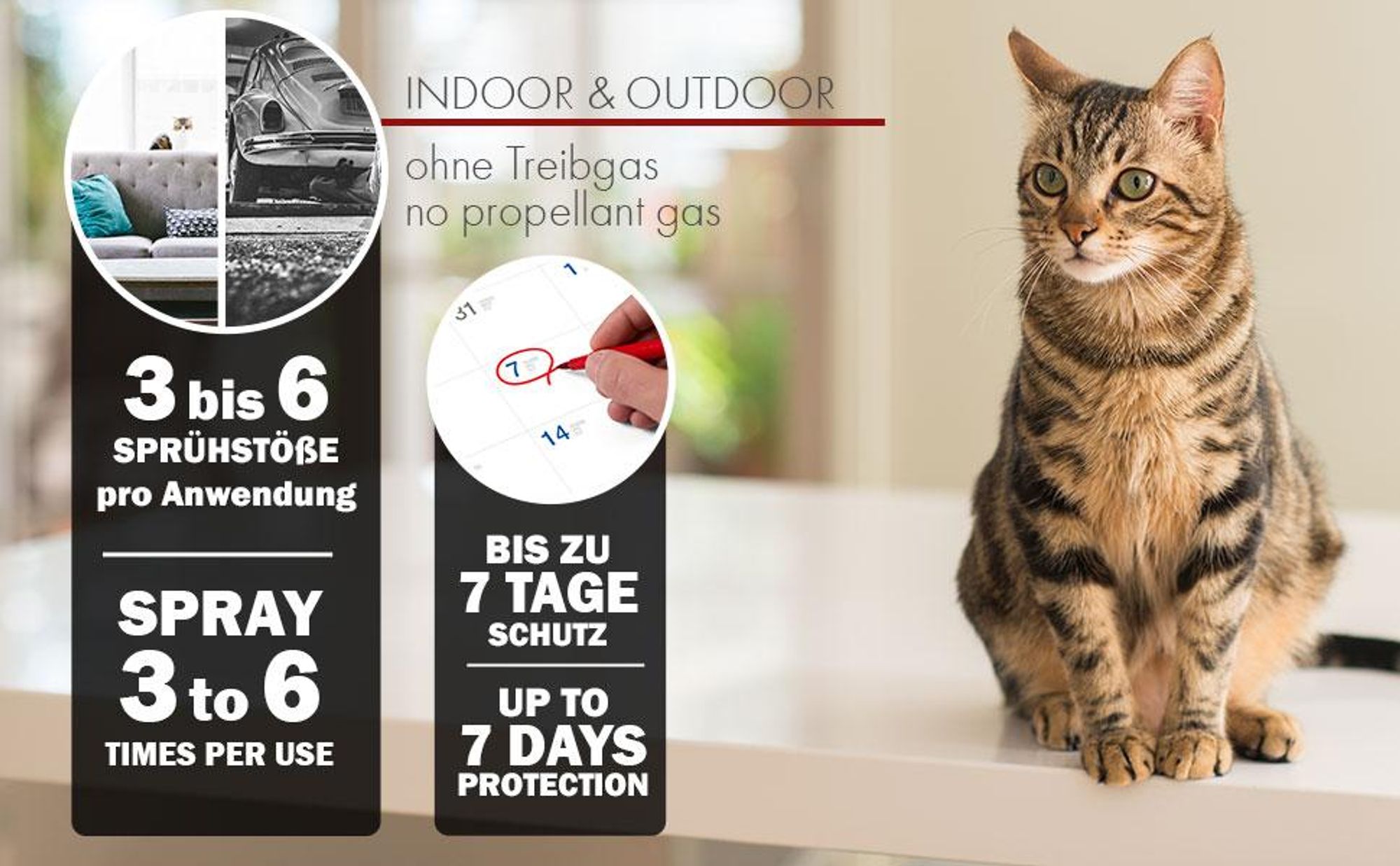 Saint Nutrition® Cat Away Spray – Katzenspray – Fernhaltespray – für Katzen – Anti Kratz Spray - Katzenabwеhr – zum Vertreiben von Katzen